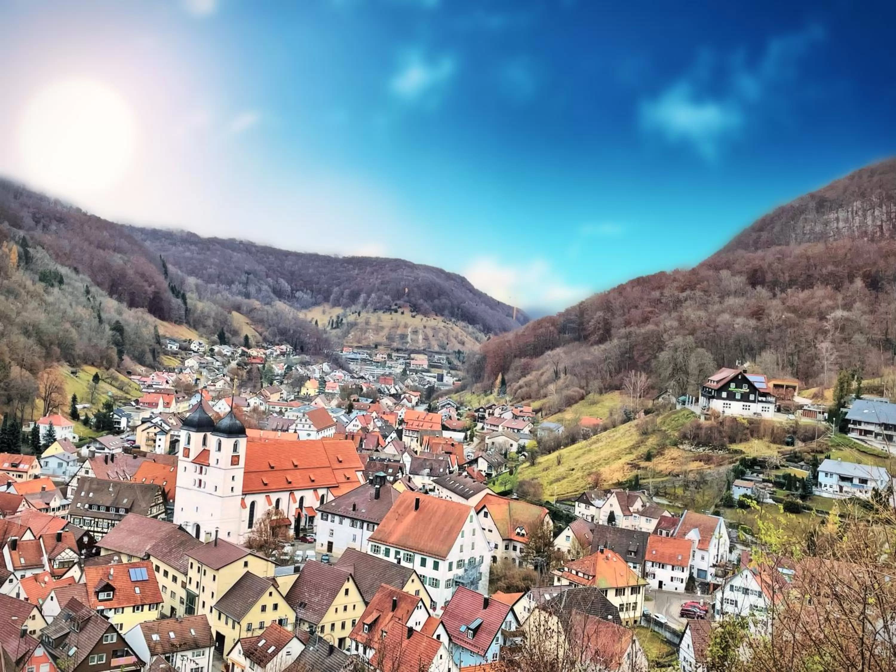 Mountain view in Albhotel Malakoff - House of Nature