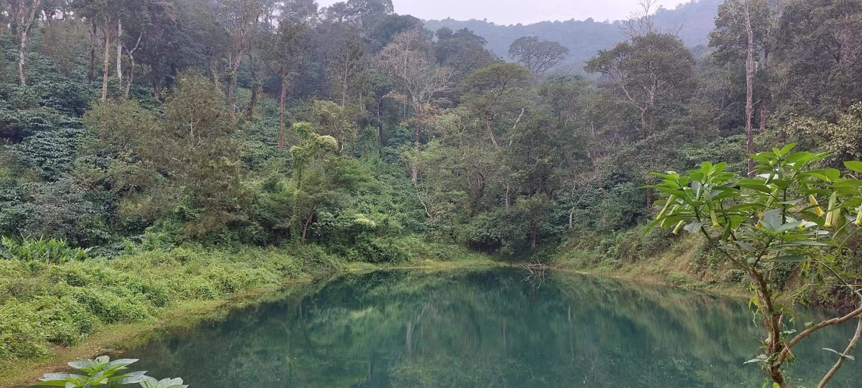 Natural landscape in Magnolia Estates & Resorts