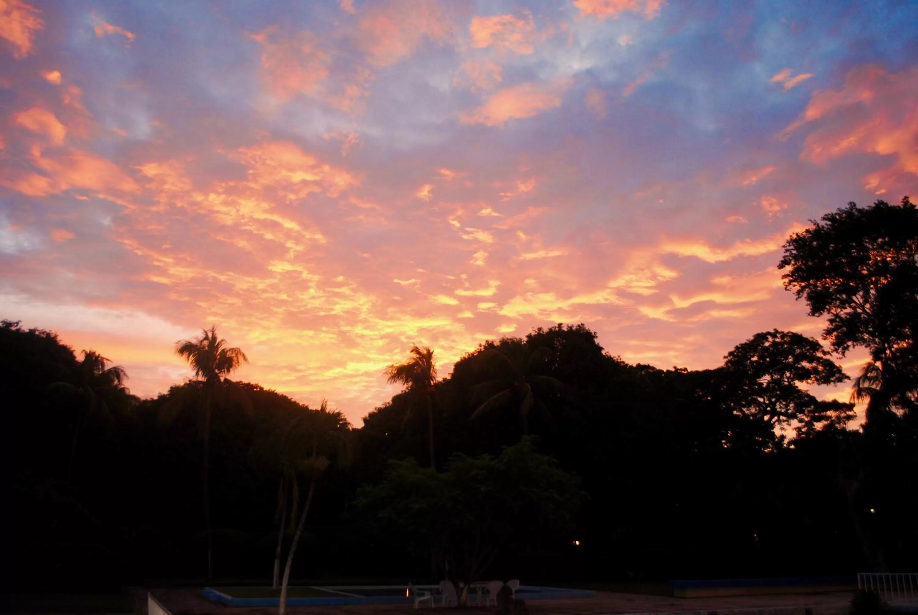 Garden in Hotel Diriá Santa Cruz
