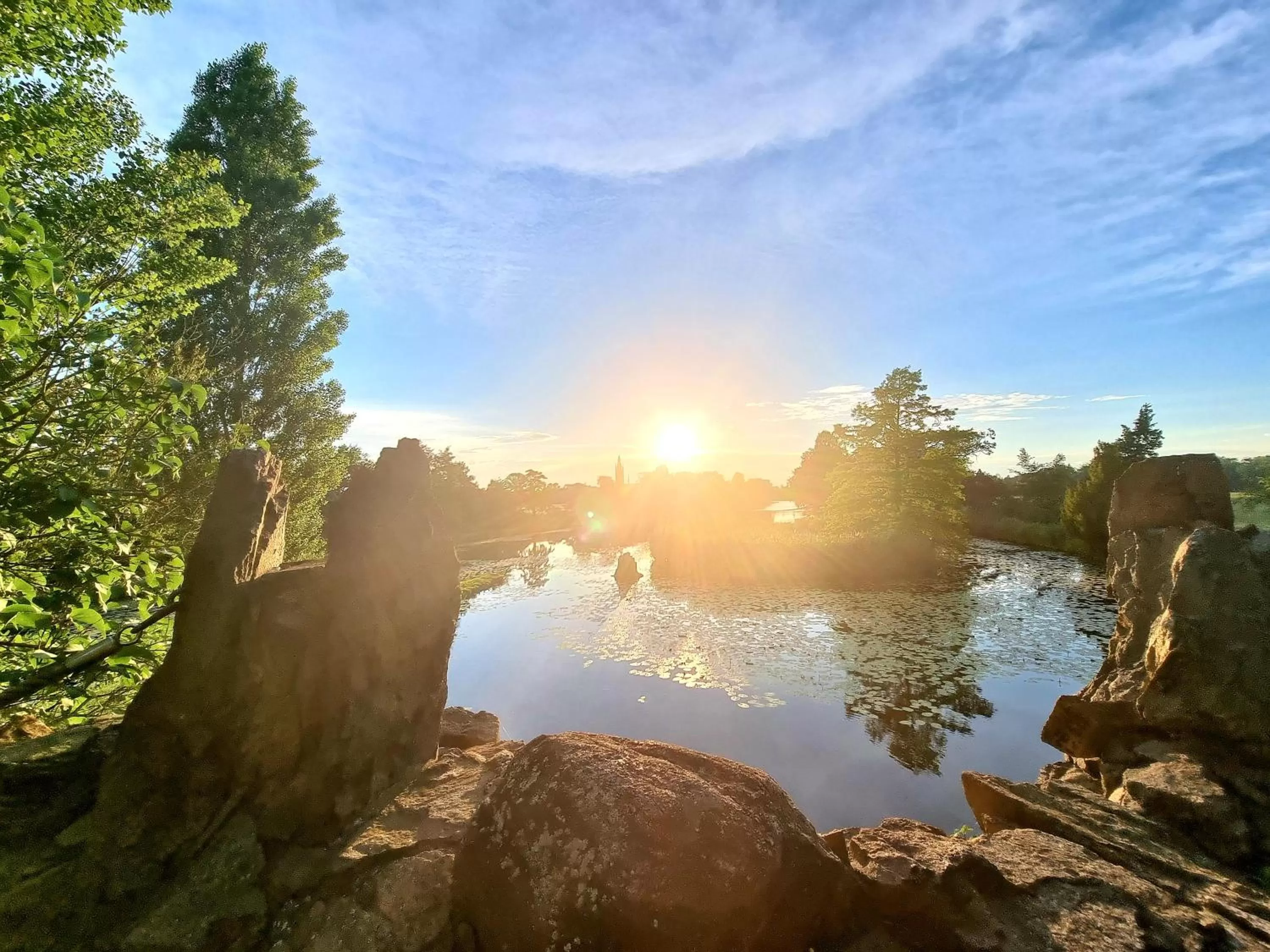 Nearby landmark in Hotel Landhaus Wörlitzer Hof