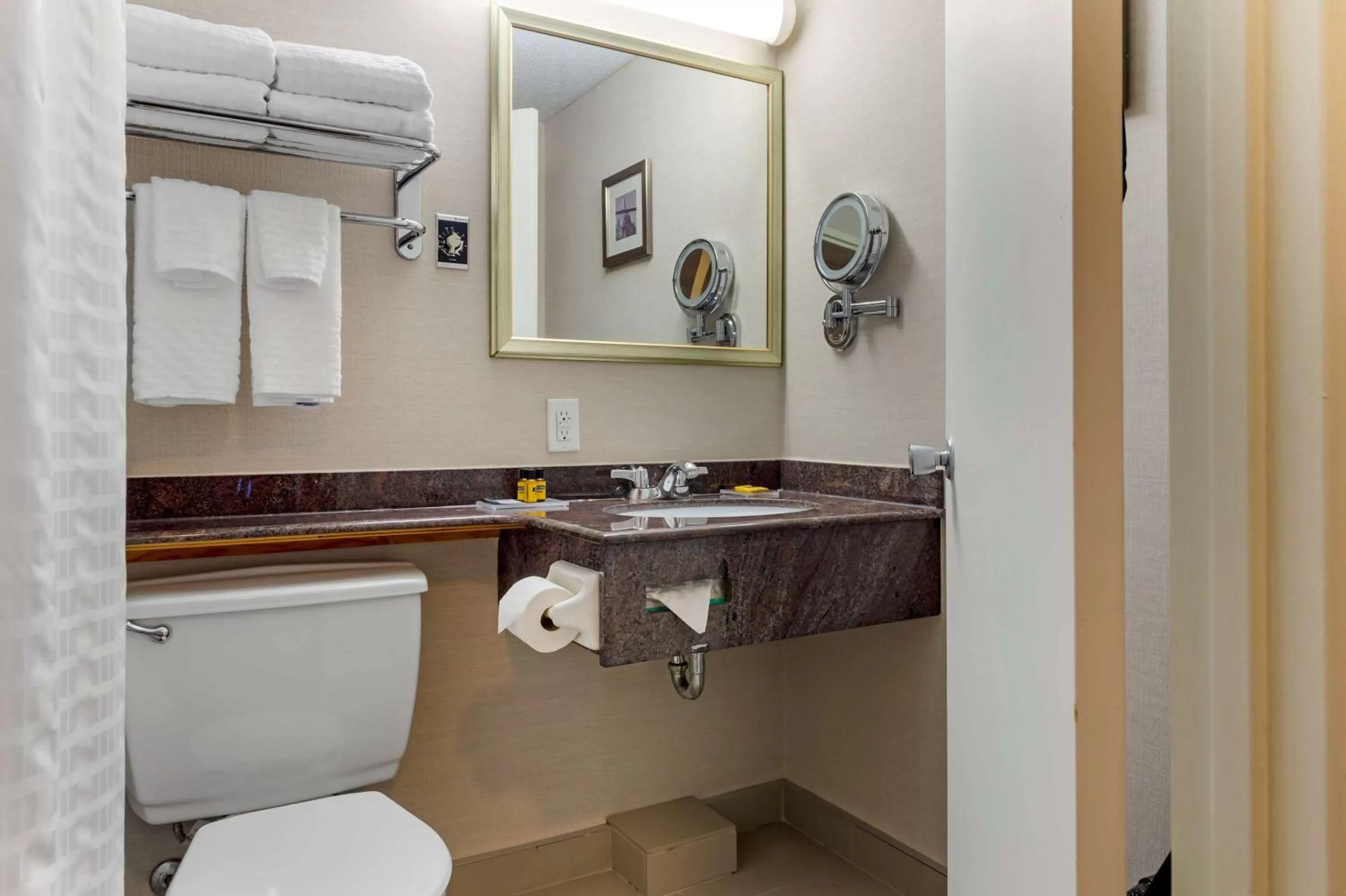 Bathroom in Best Western Plus Gatineau-Ottawa Downtown