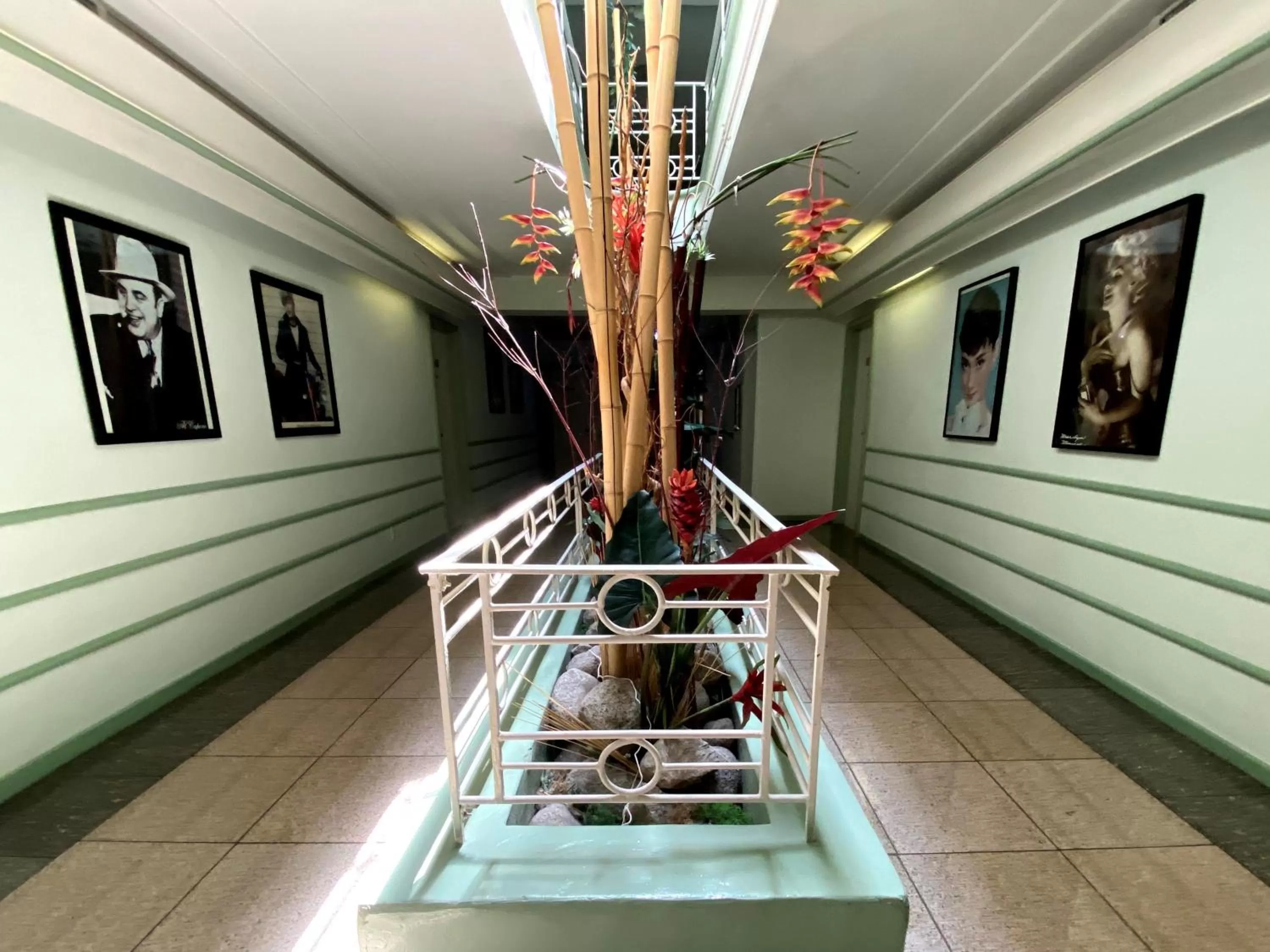 Area and facilities in Hollywood Celebrity Hotel