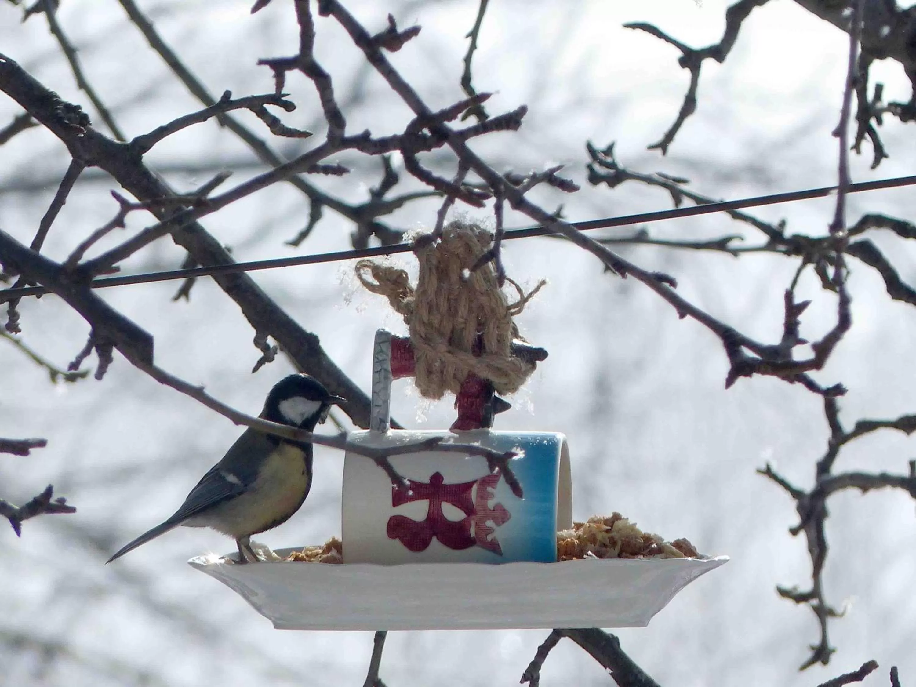 Animals in Green Stone Boutique Hotel