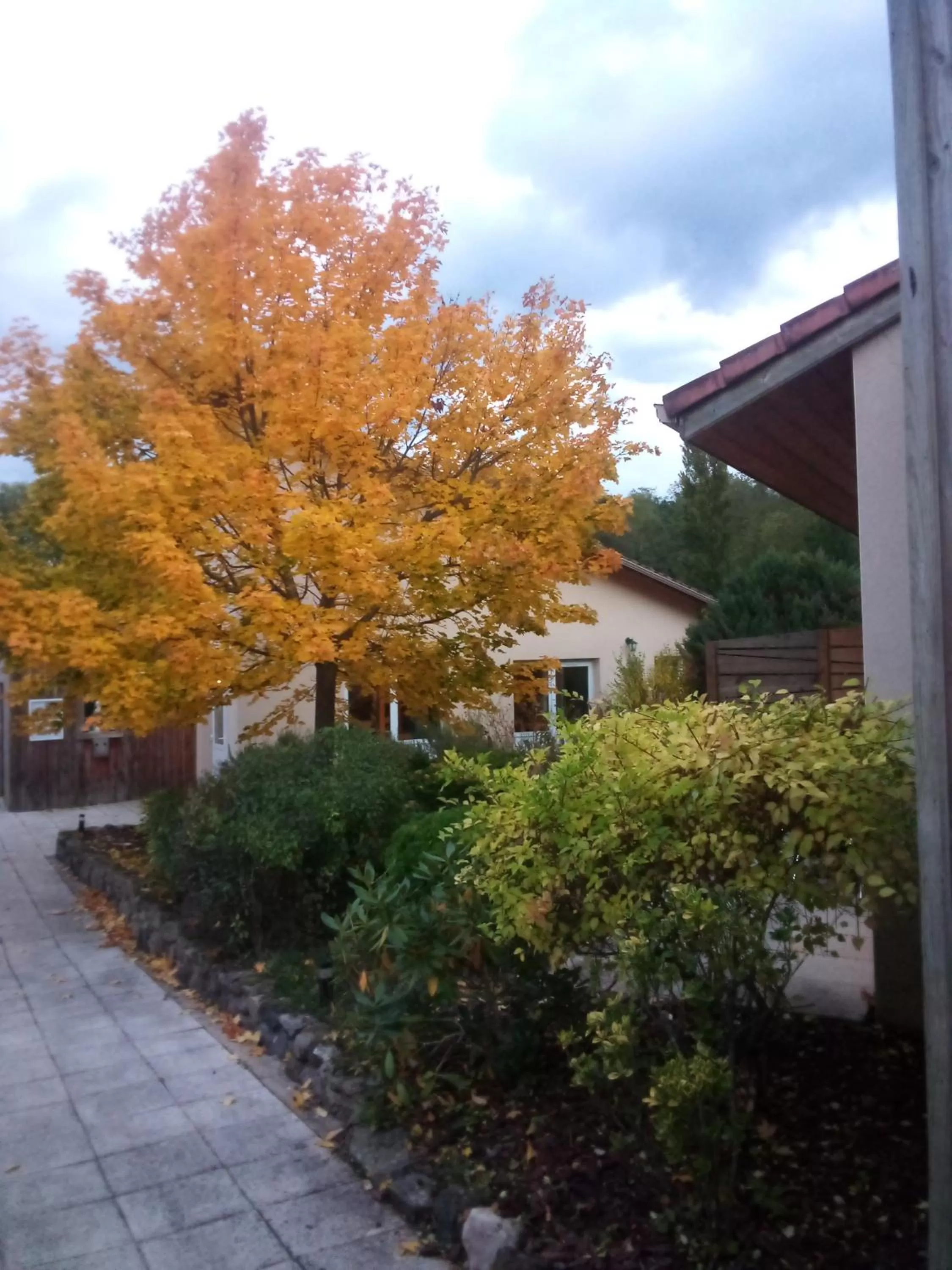 Lobby or reception in Hotel de l'Ile d'Amour
