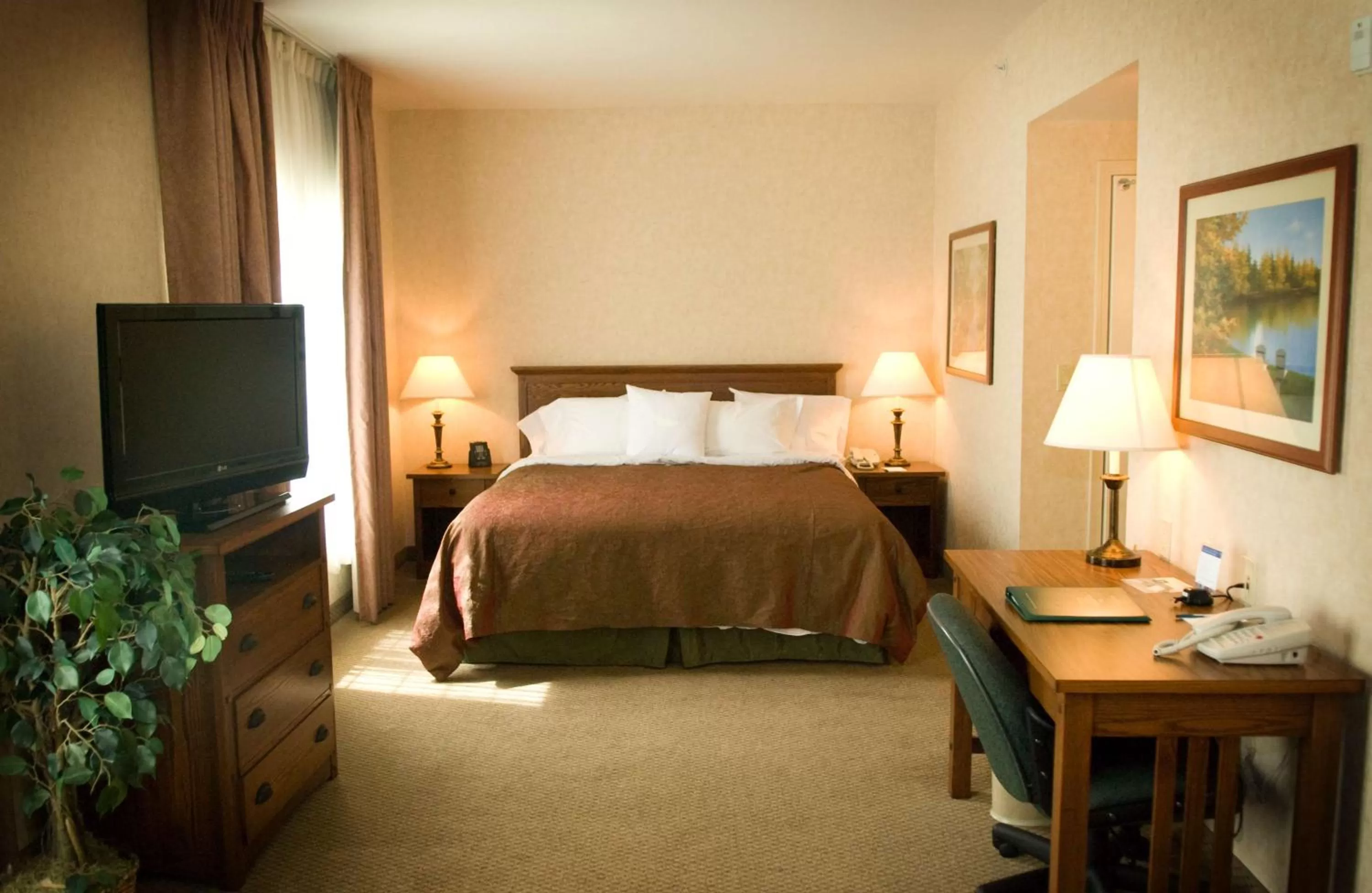 King Studio - Non-Smoking in Homewood Suites Bakersfield