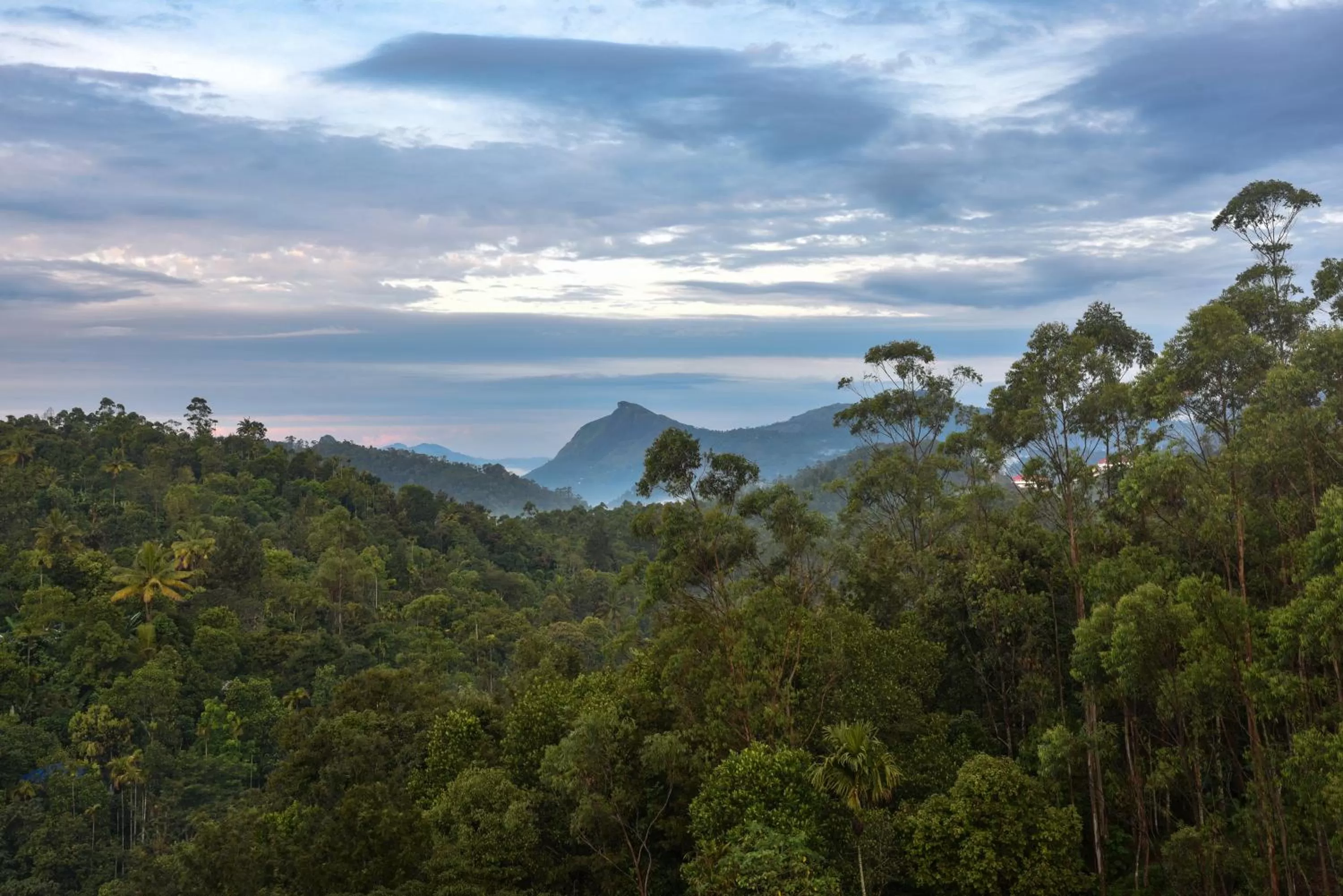 Mountain view in HOTEL WHITE HOUSE, Munnar