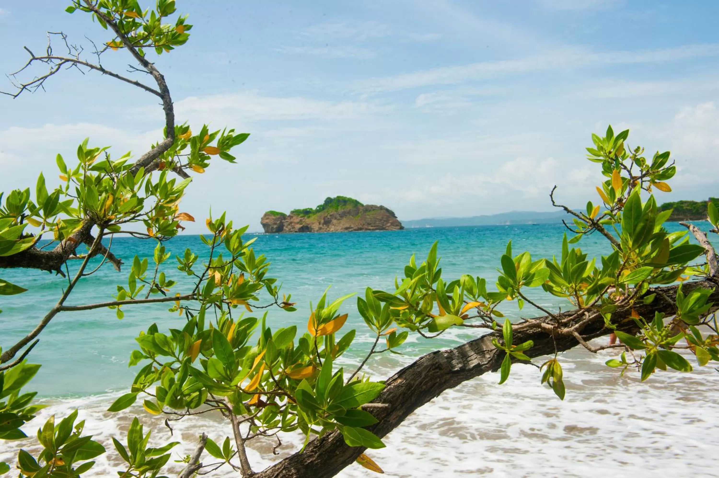 Natural landscape in Nandel Beach Resort