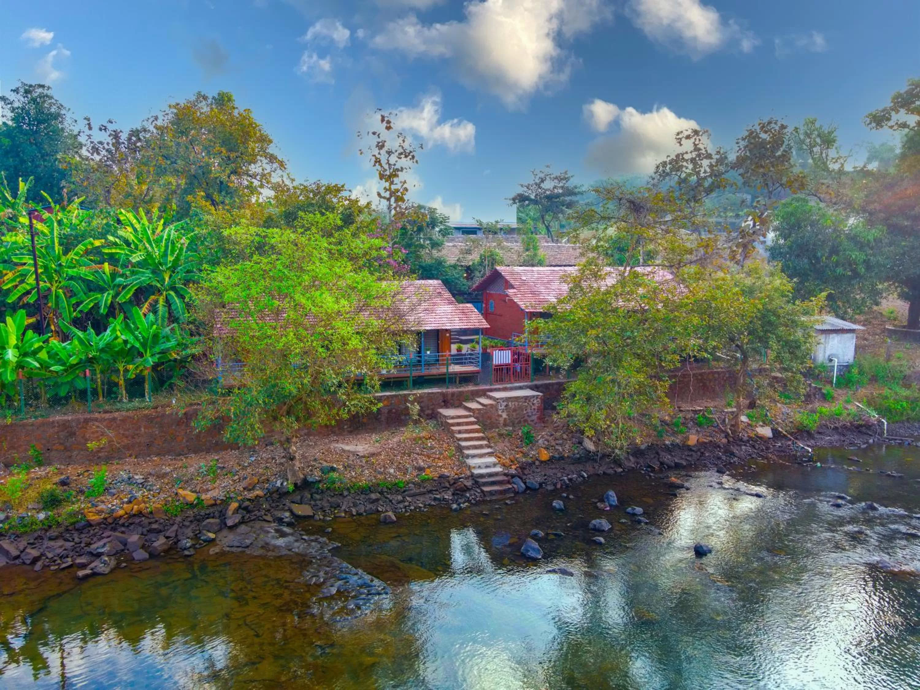 View (from property/room) in Saveda Farm & Cottages
