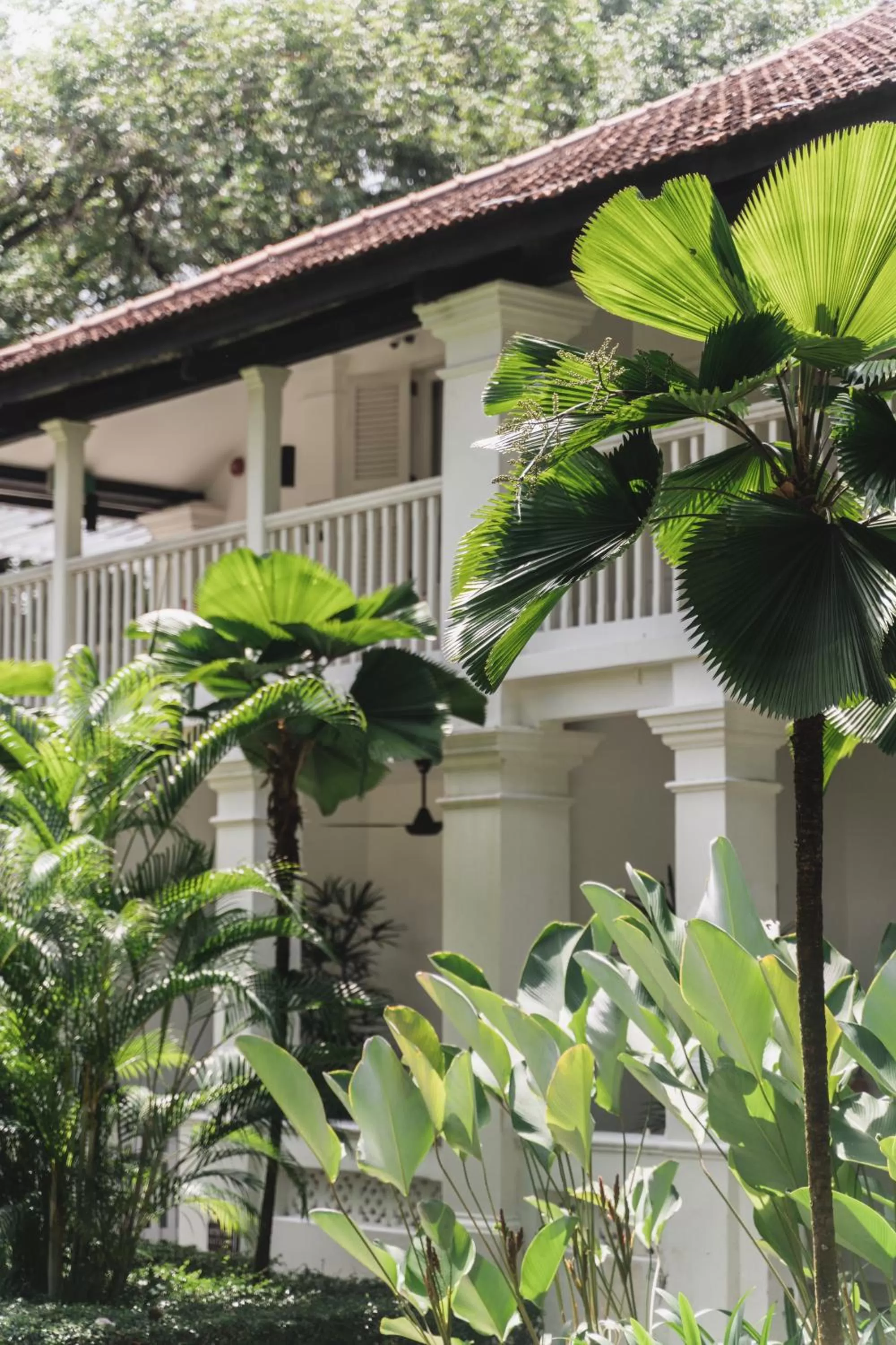 Garden in Amara Sanctuary Sentosa