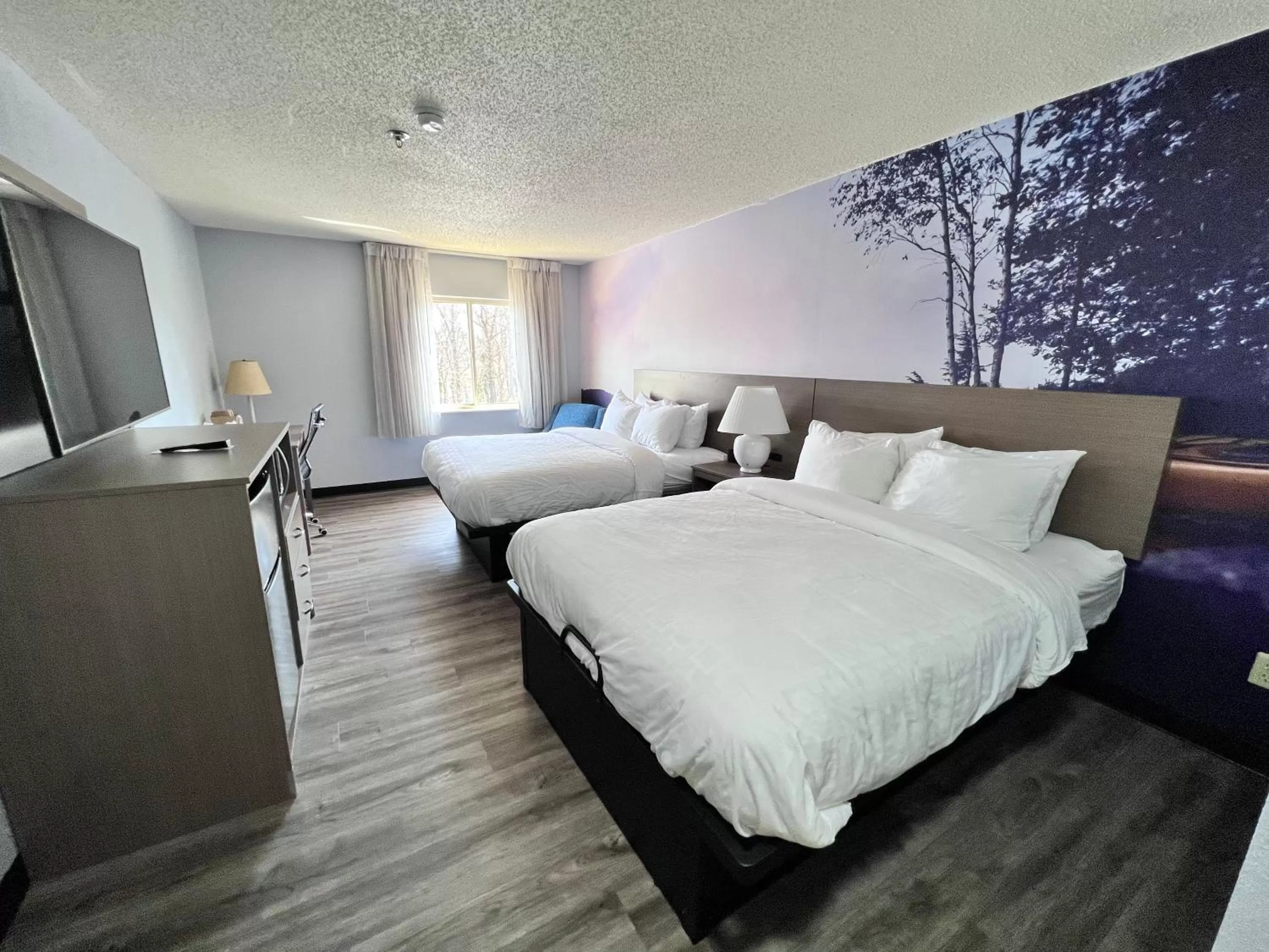 Photo of the whole room, Bed in Clarion Pointe on the lake Clarksville-South Hill West