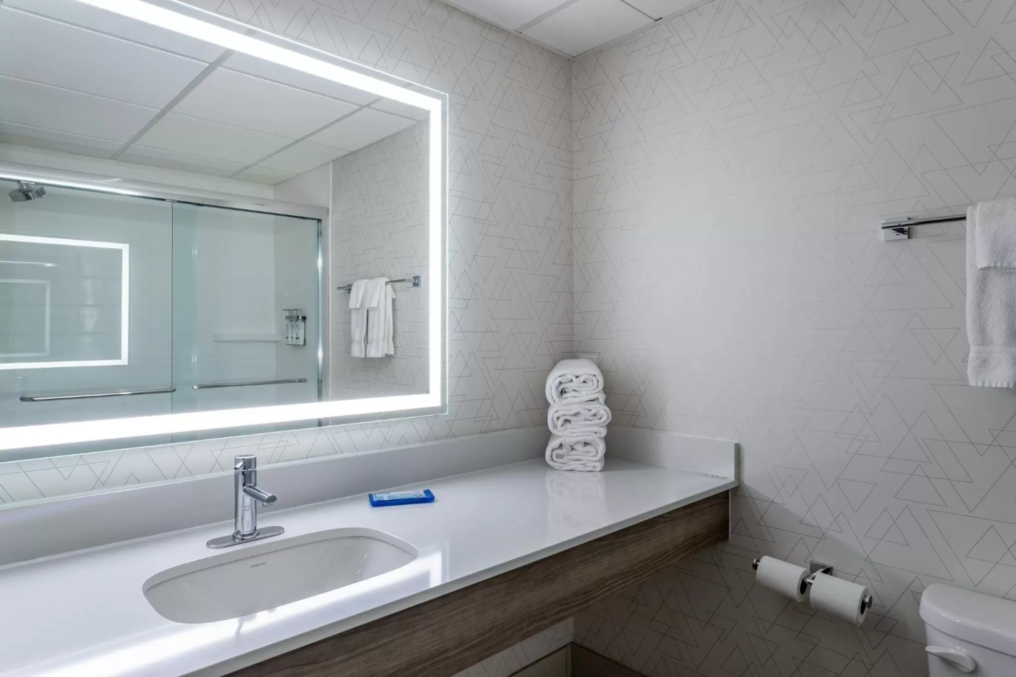 Bathroom in Holiday Inn Express Hotel & Suites-St. Paul by IHG