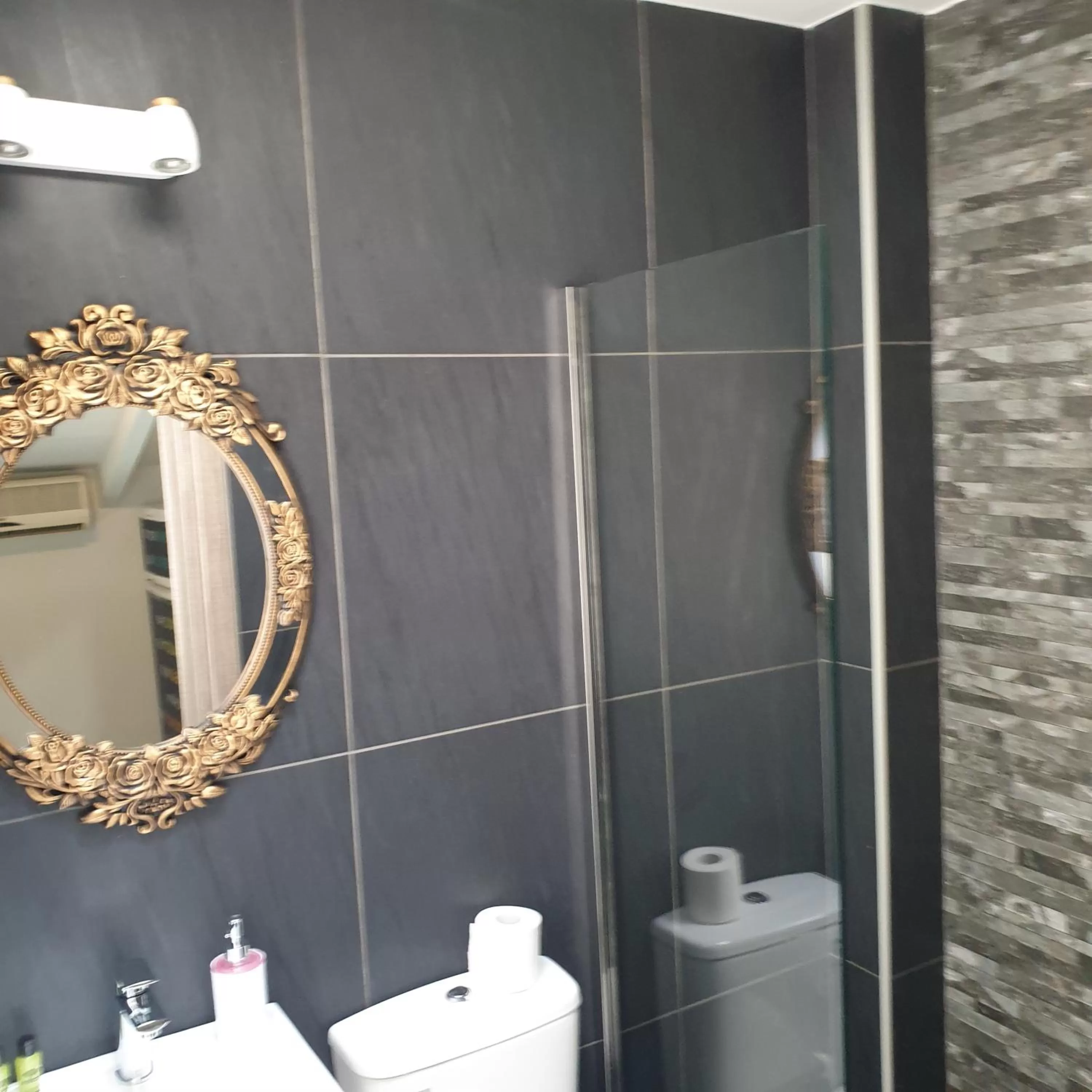 Shower in Alexia's Apartments