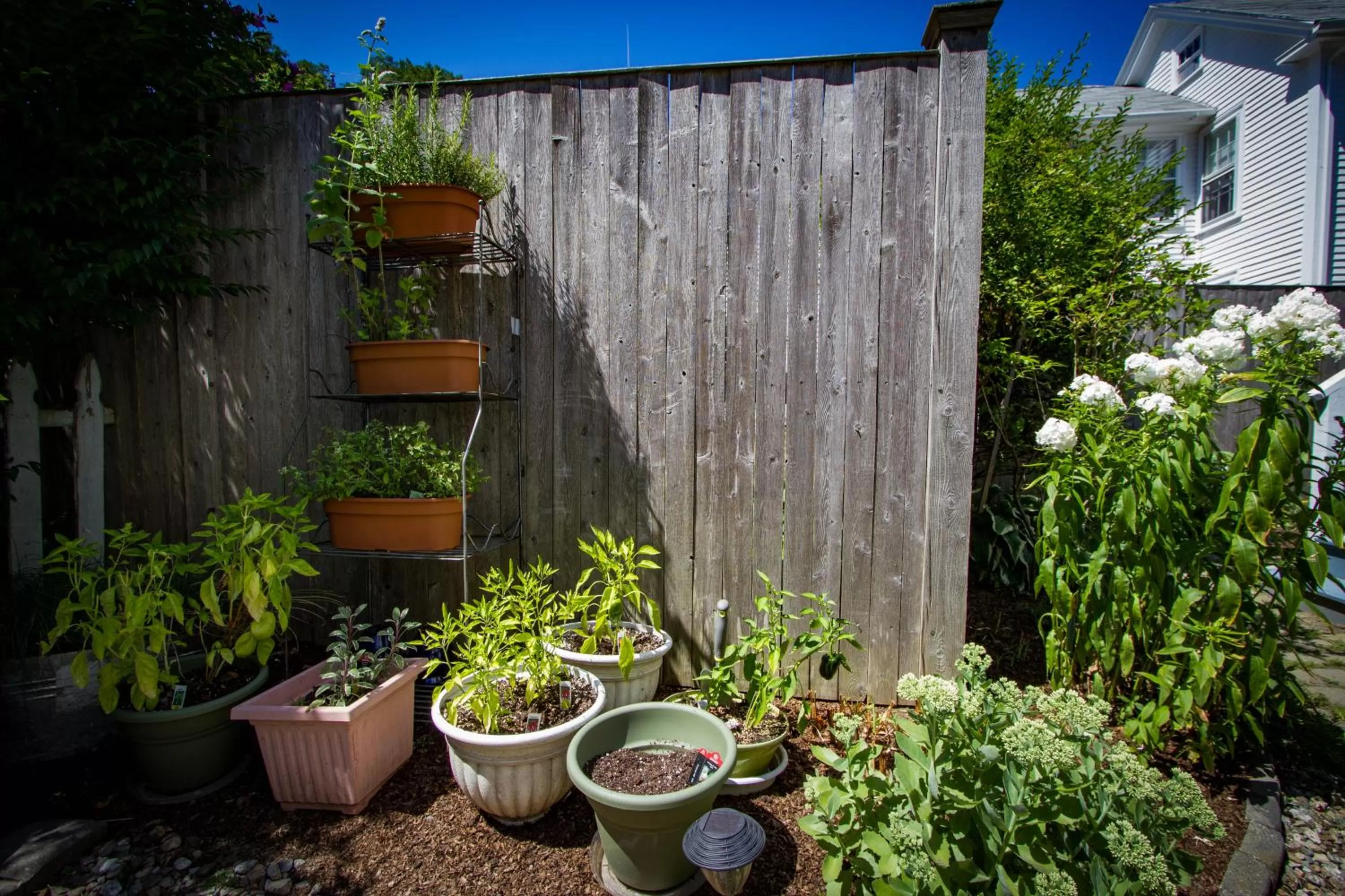 Property building in Sally Webster Inn