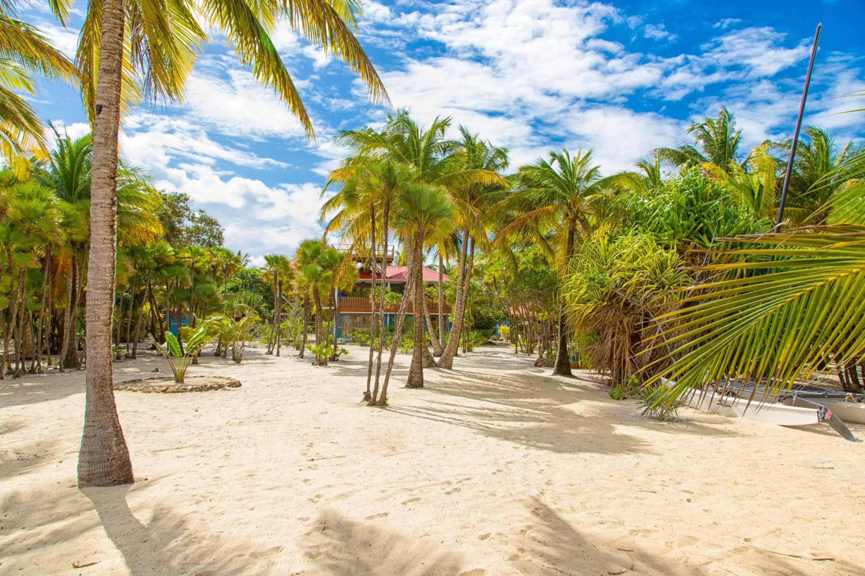 Day, Beach in Wild Orchid