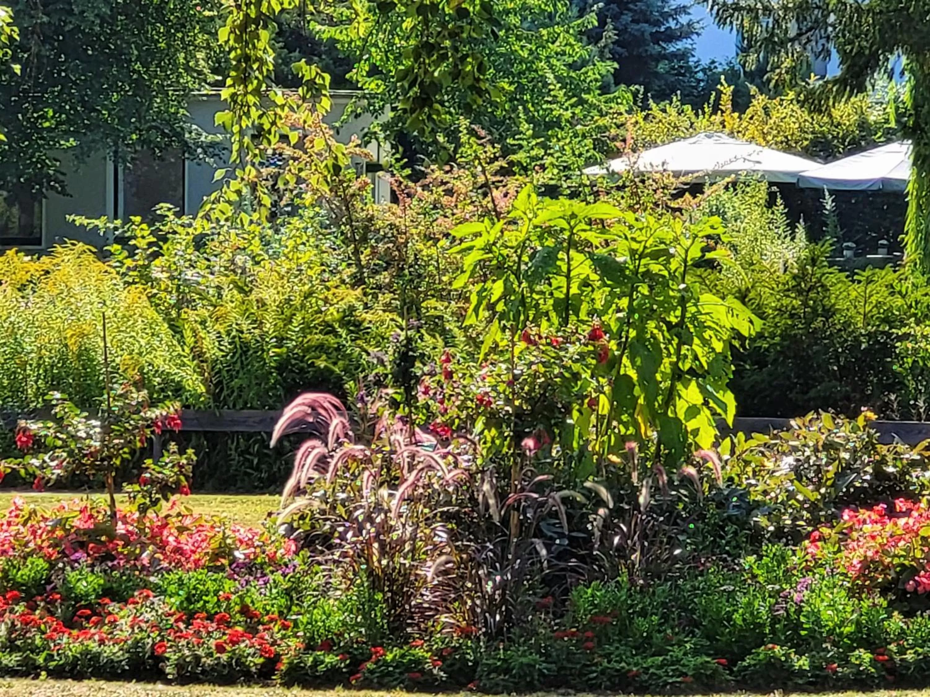 Area and facilities, Garden in Parkhotel Am Schwanenteich