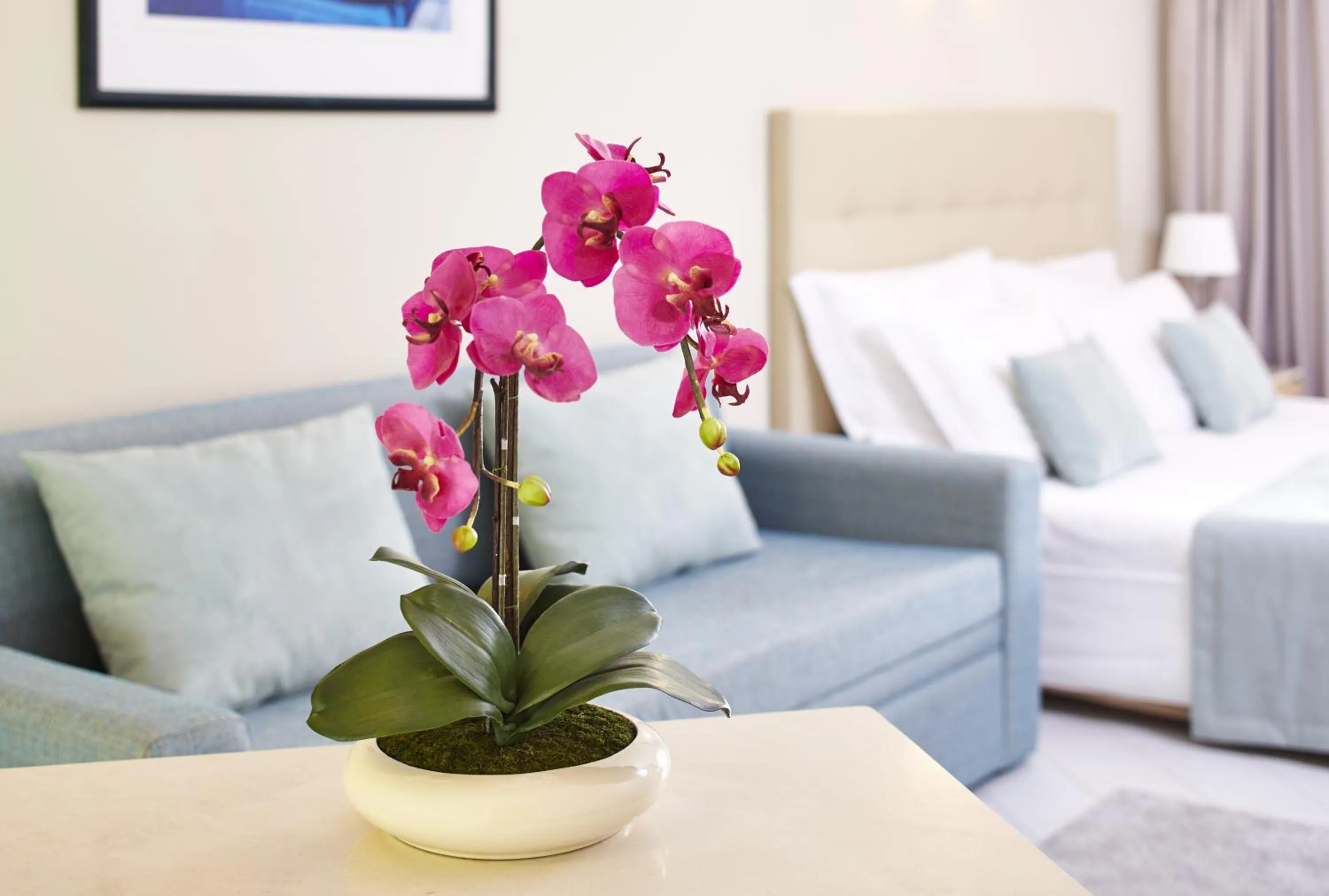 Bedroom in Luna Clube Oceano