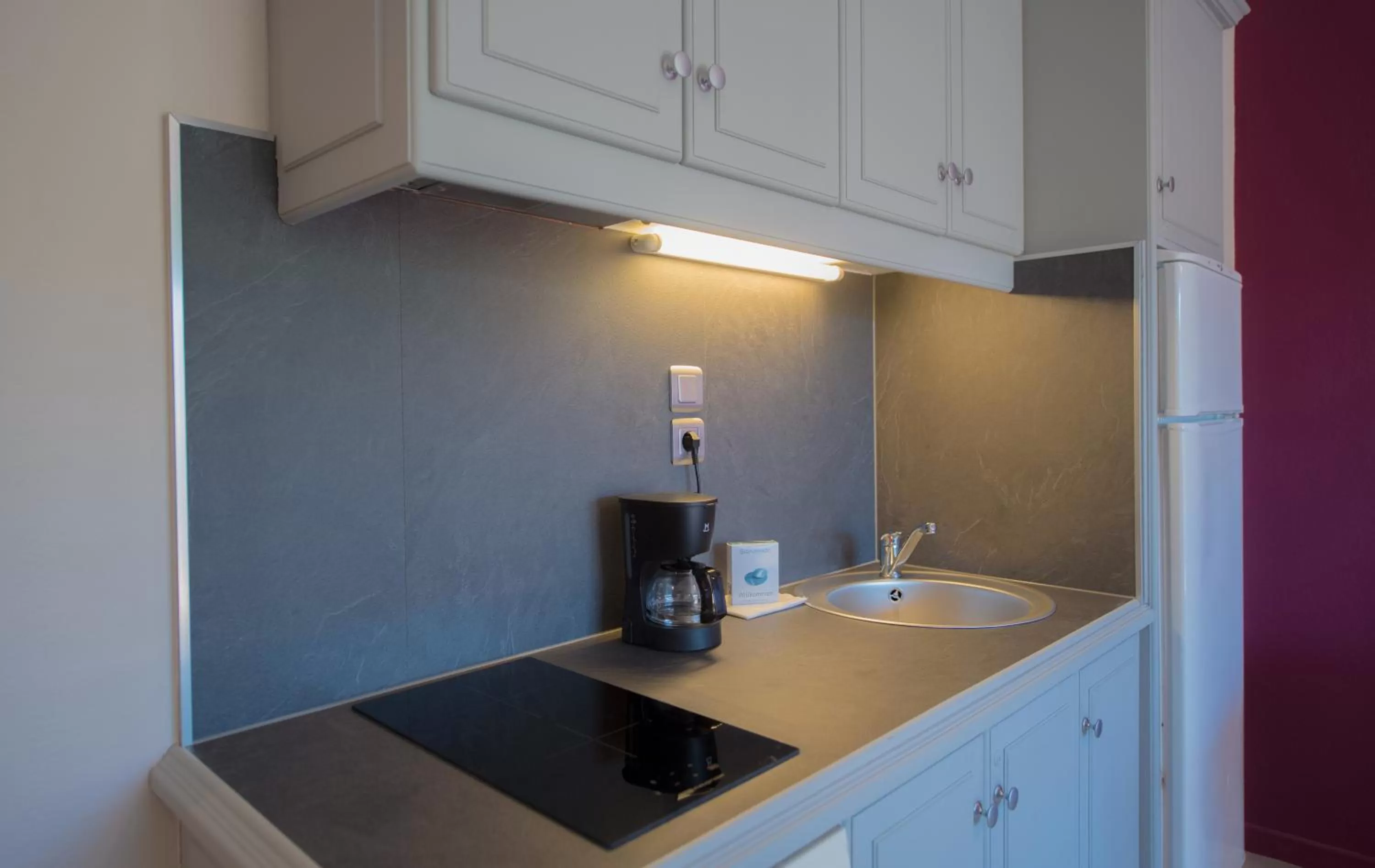 Kitchen or kitchenette in Appart Hotel Lou Castelet