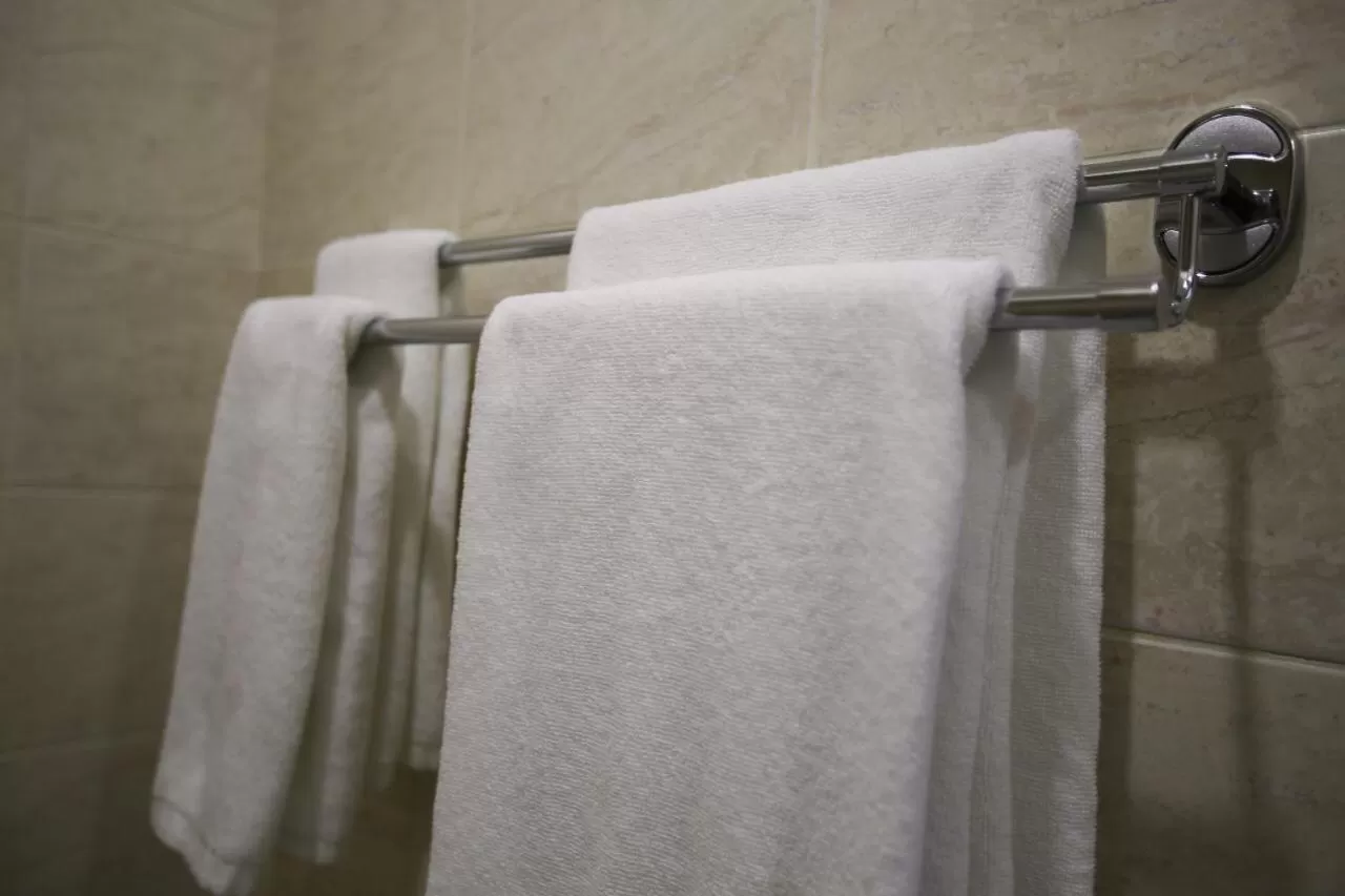 Altai Business Hotel