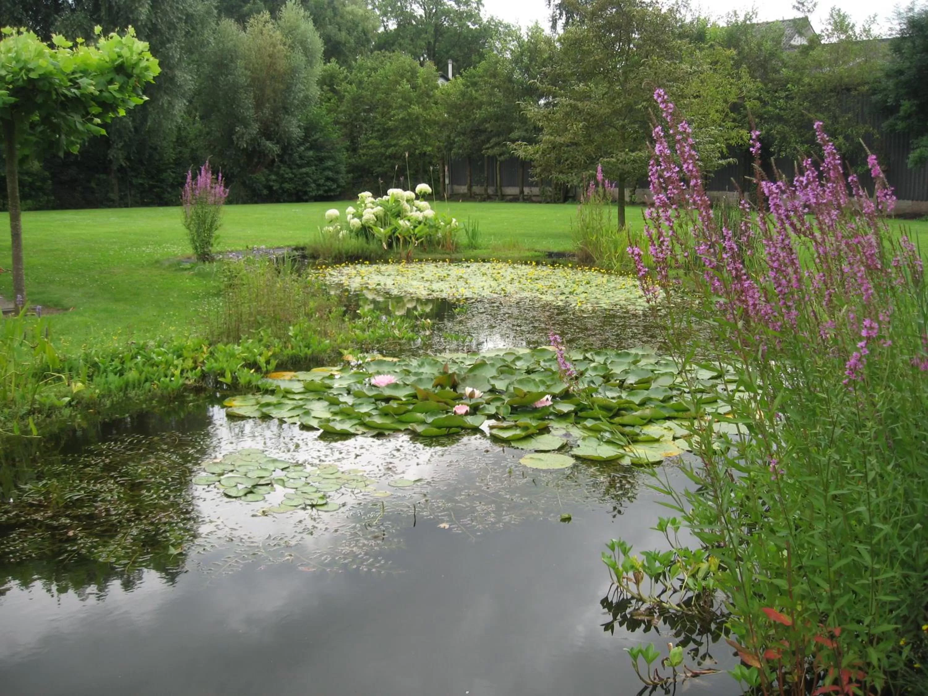 Property building in Oostzomerland
