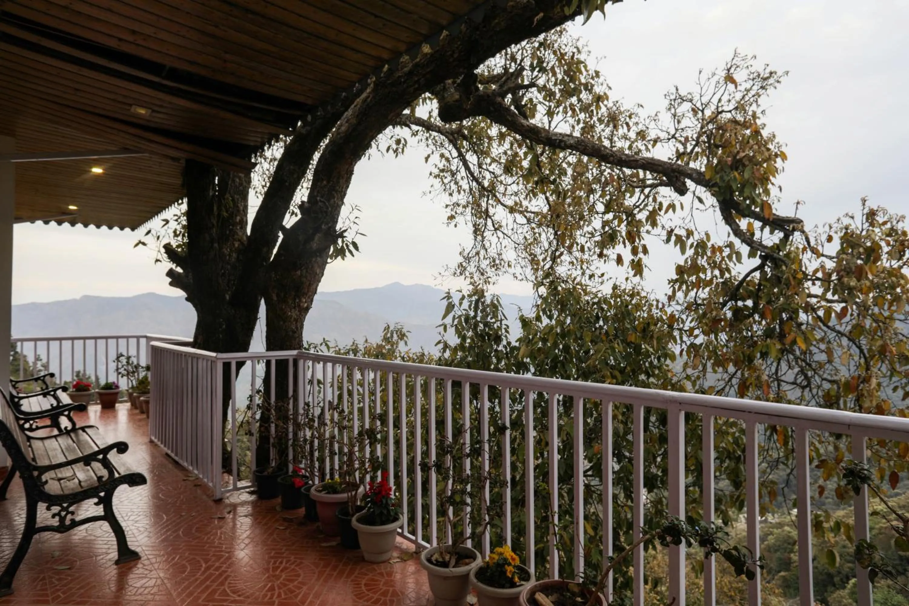 Patio in The Mountain Quail