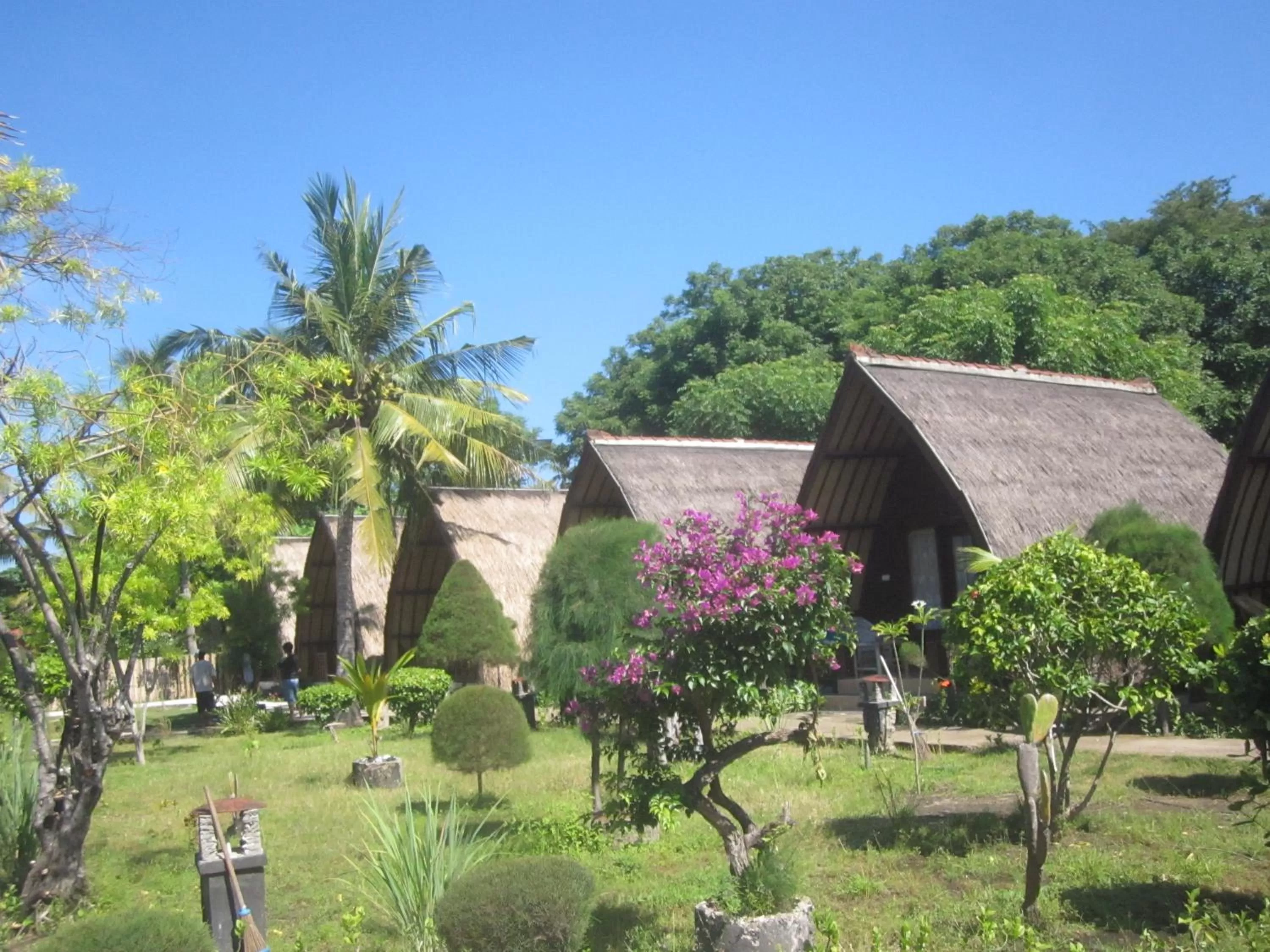 Garden in Sandy Beach Bungalows