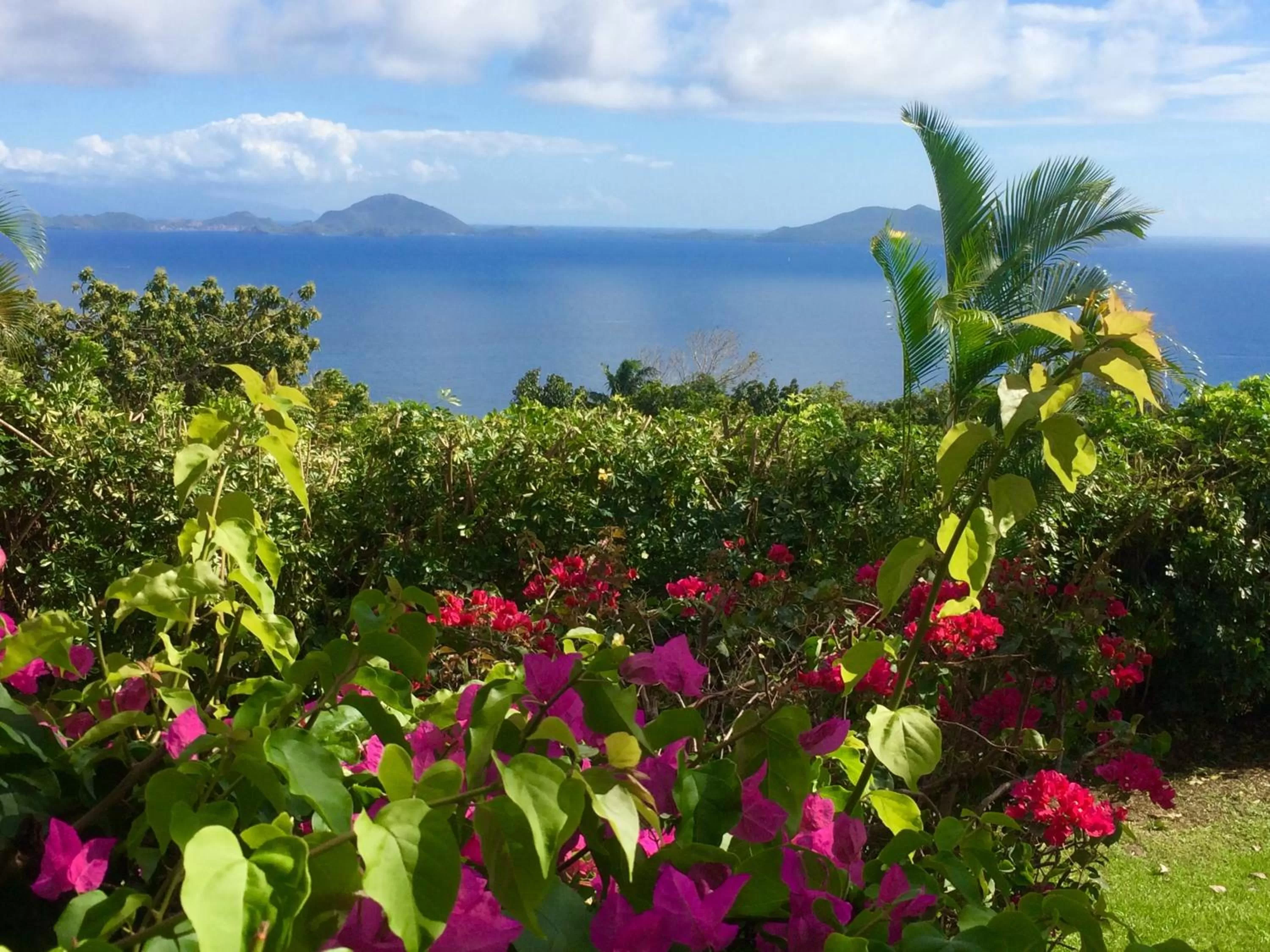Property building in Villa Cajou chambres d'hôtes chez l'habitant et Zanzibar cottage