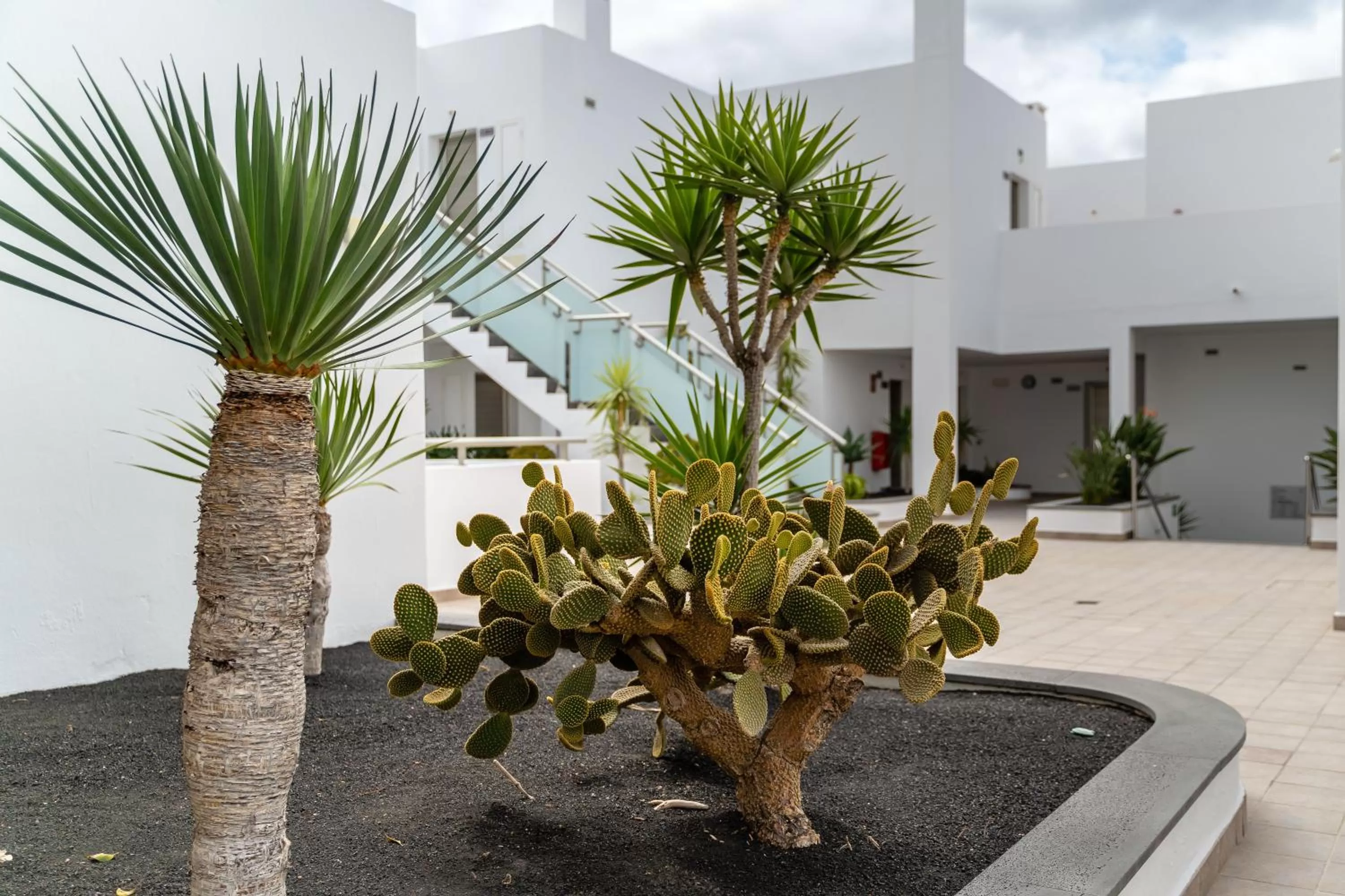 Garden in Hotel Lanzarote Village