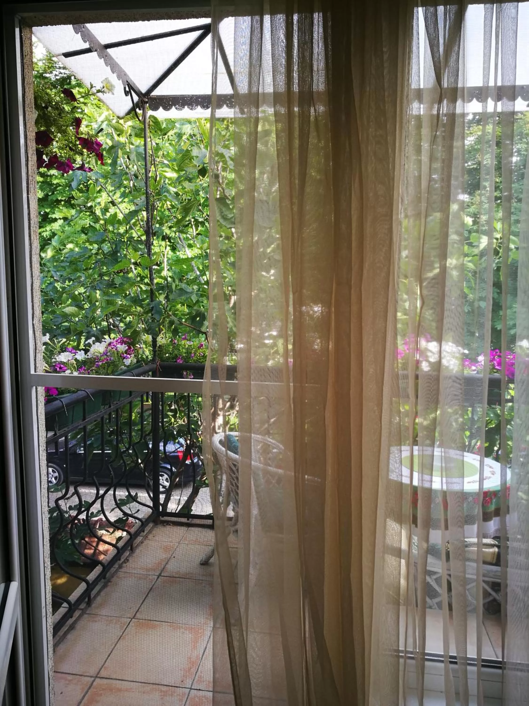 Balcony/Terrace in Hotel Paradise