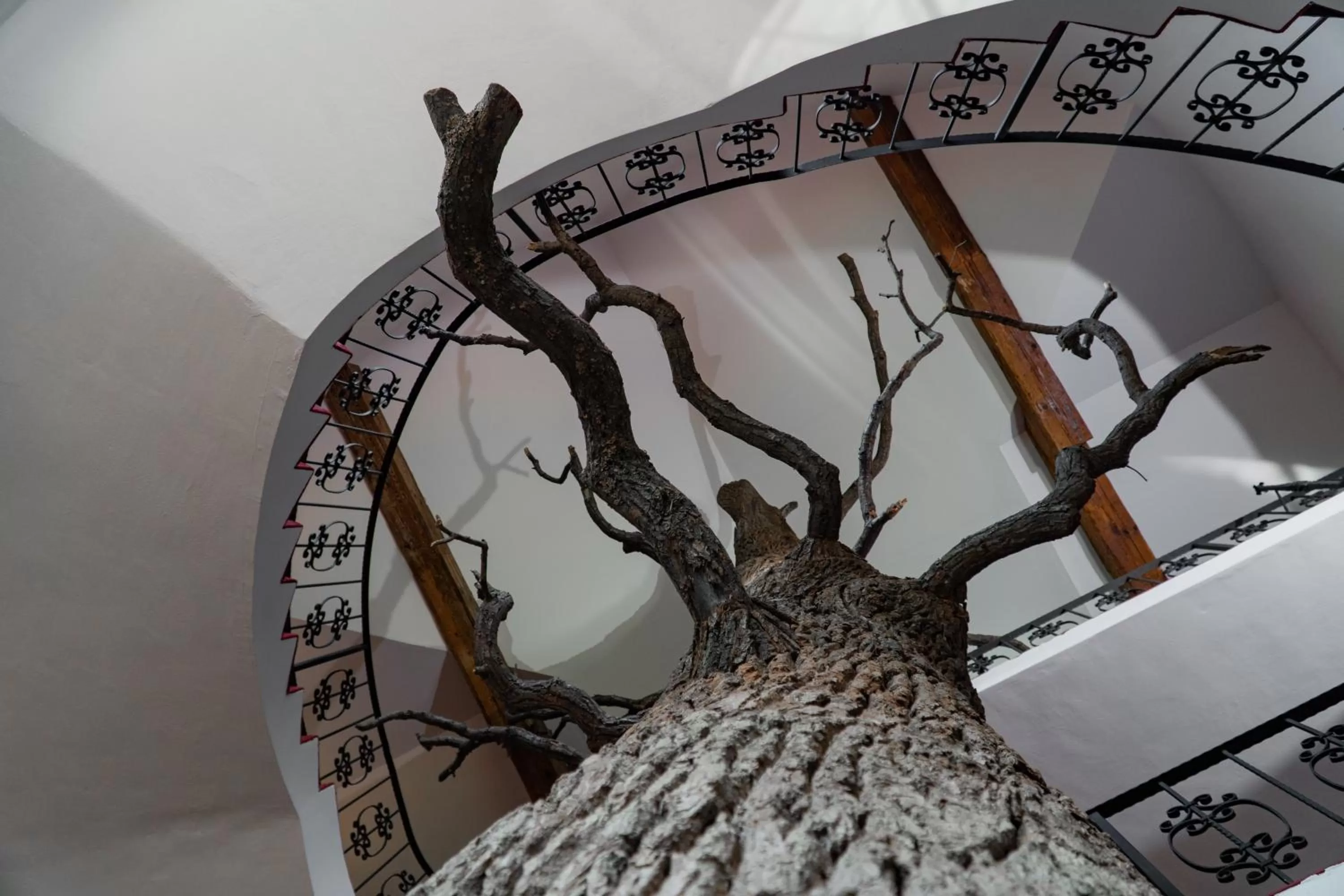 HOTEL CICHA WODA NIEPORĘT