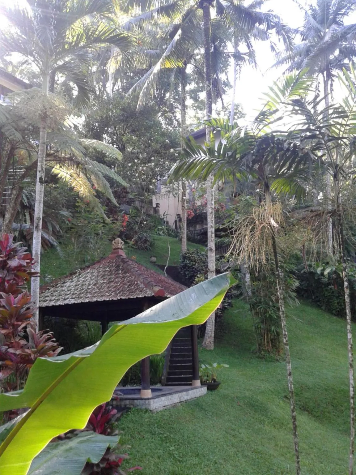 Natural landscape, Garden in Anahata Villas and Spa Resort