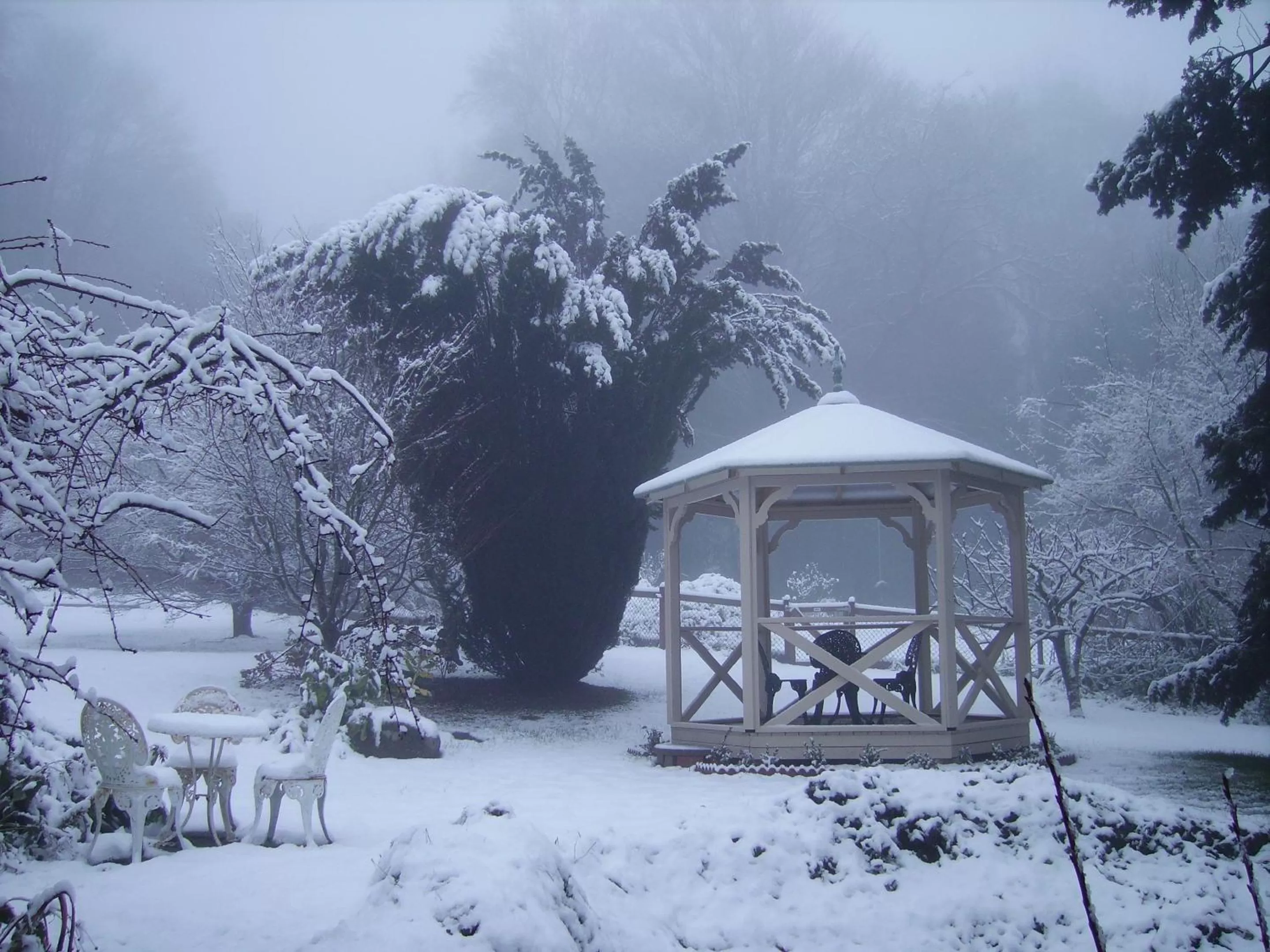 Garden in Arcadia Cottages