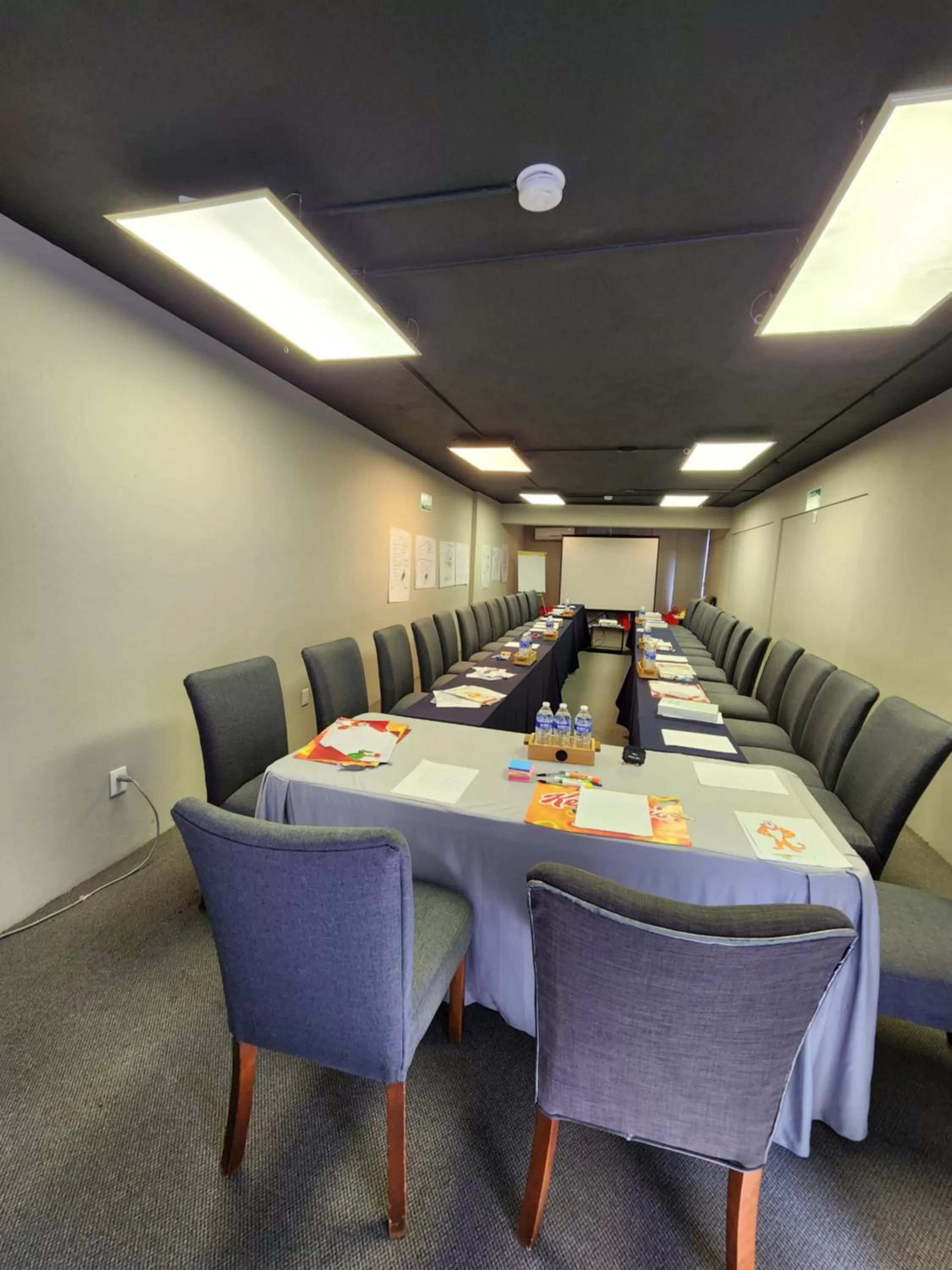 Meeting/conference room in Ilo Rojo San Miguel de Allende Curamoria Collection