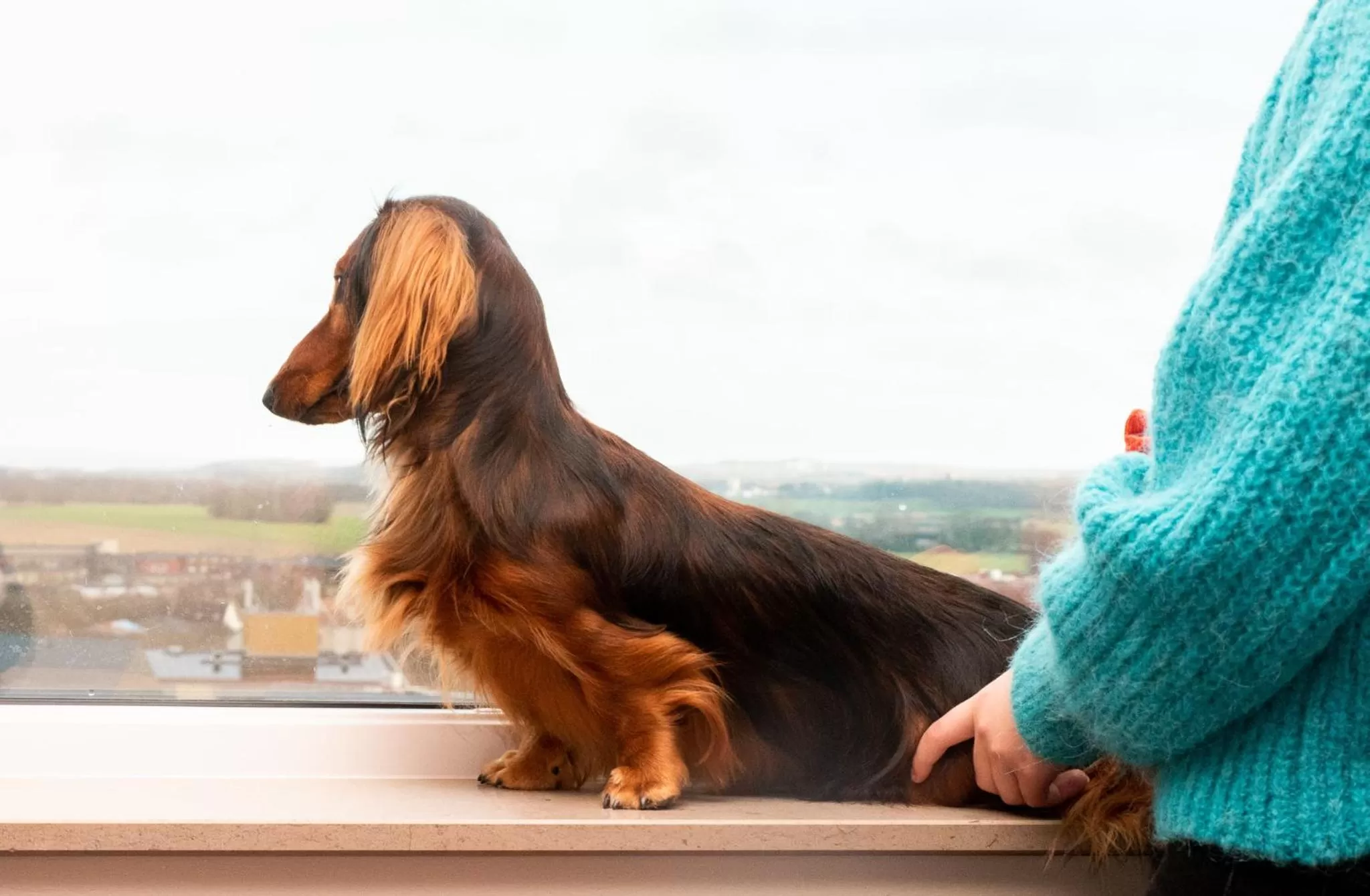 Pets in Motel L Lund