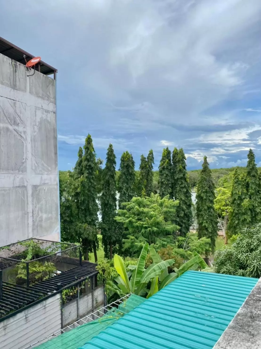 Natural landscape in No7 Guesthouse