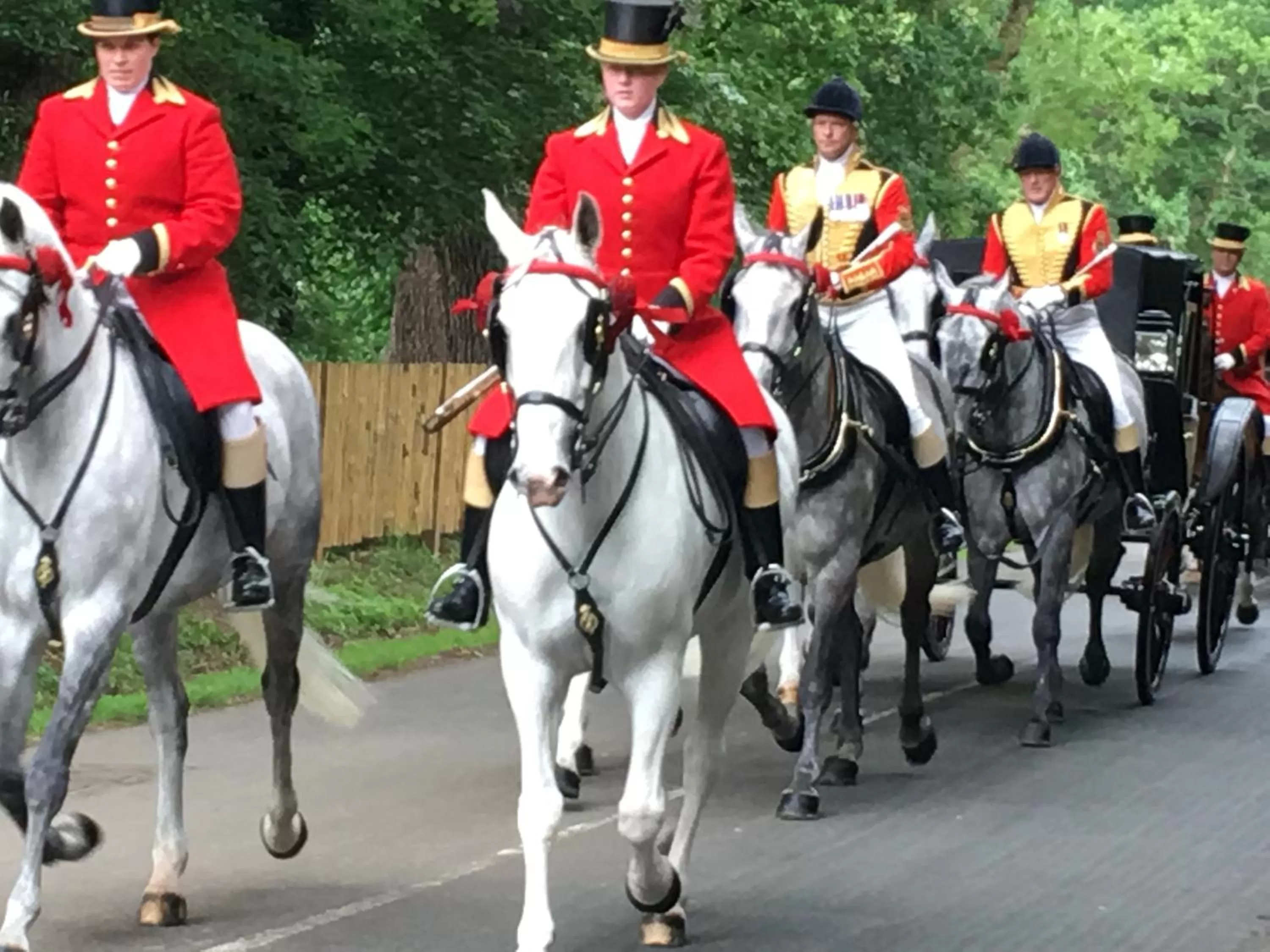 Activities, Horseback Riding in SleepNeat