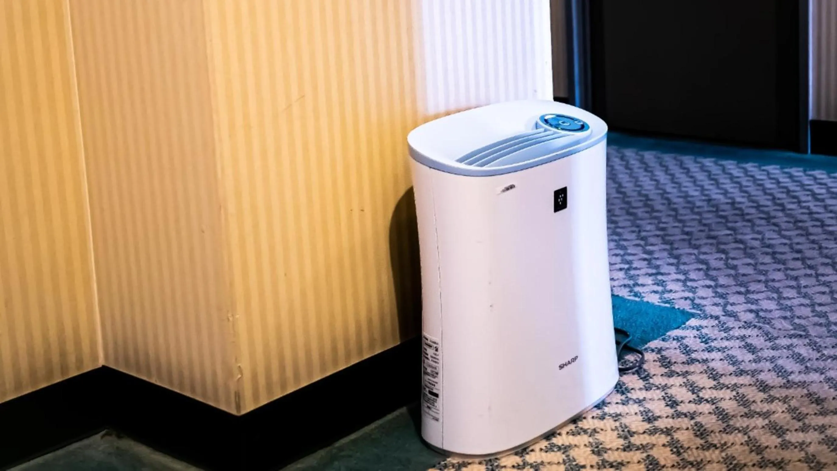 Hachinohe Plaza Hotel