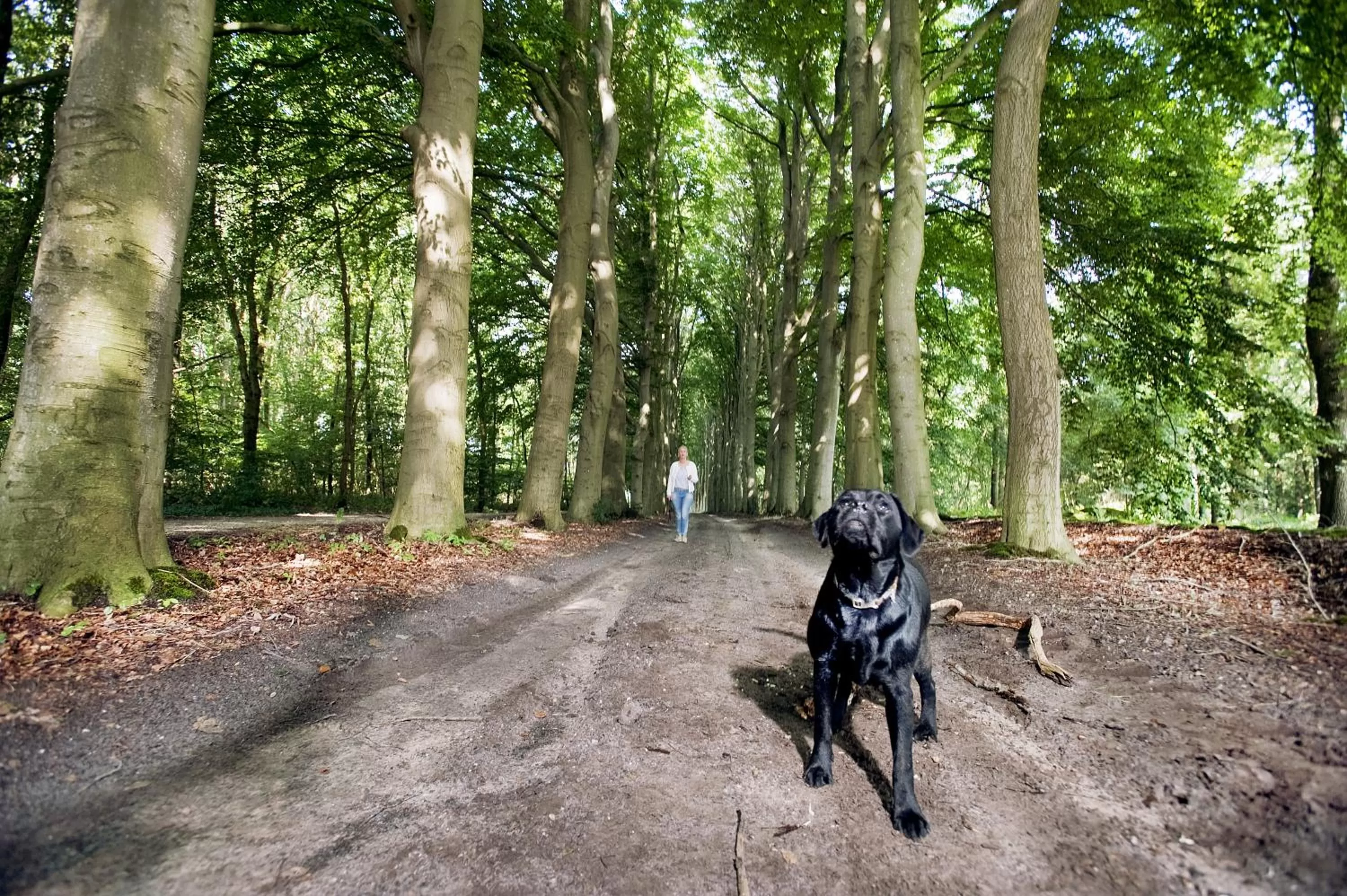 Natural landscape in Hotel Wesseling