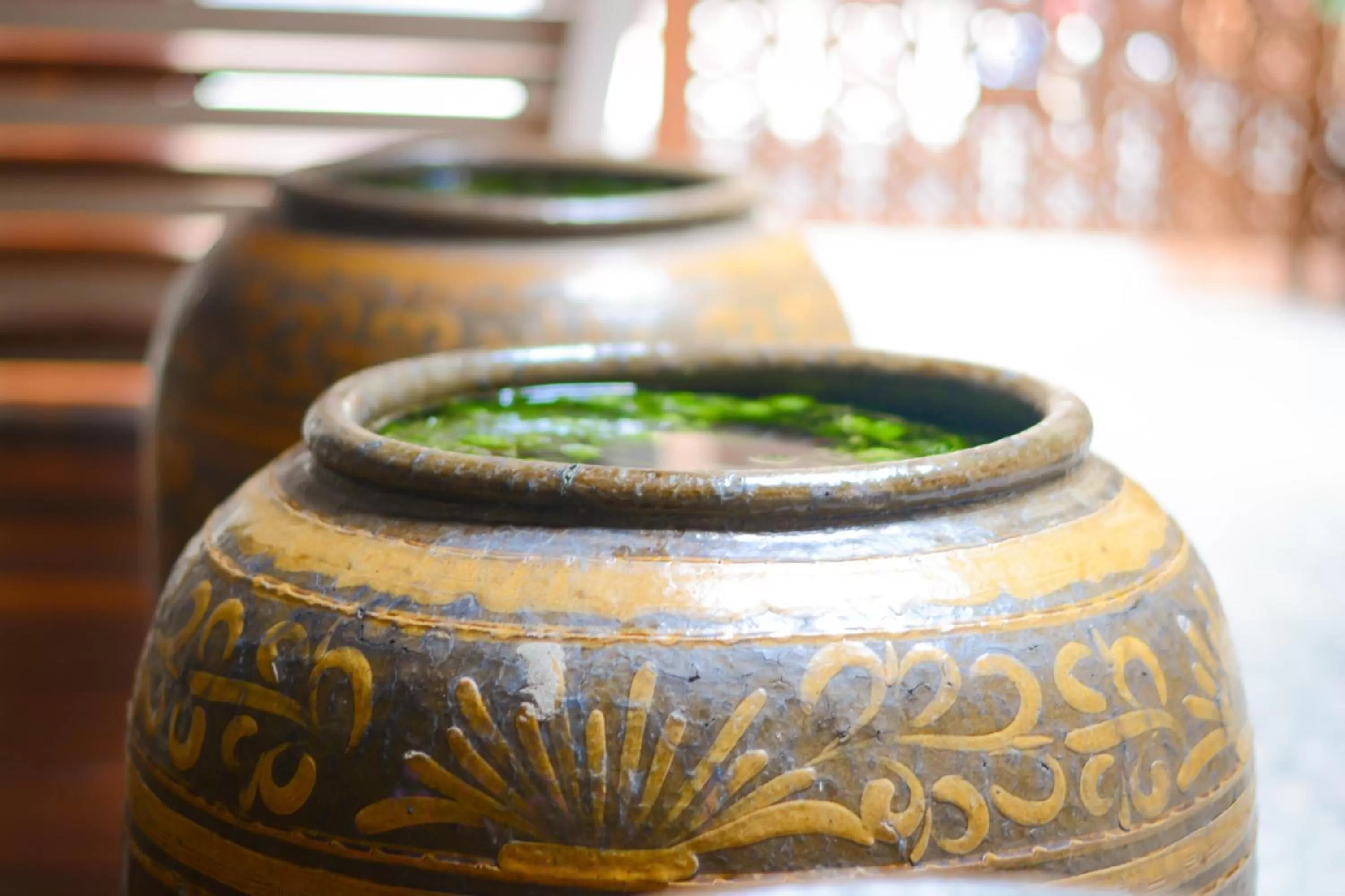 Area and facilities in Nanda Heritage Hotel