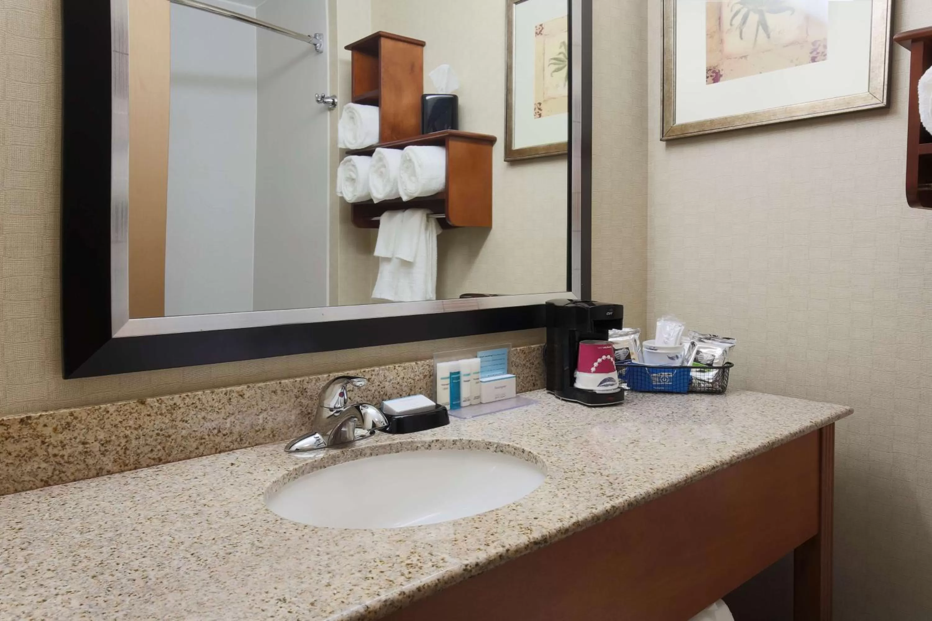Bathroom in Hampton Inn St. Louis/Fairview Heights