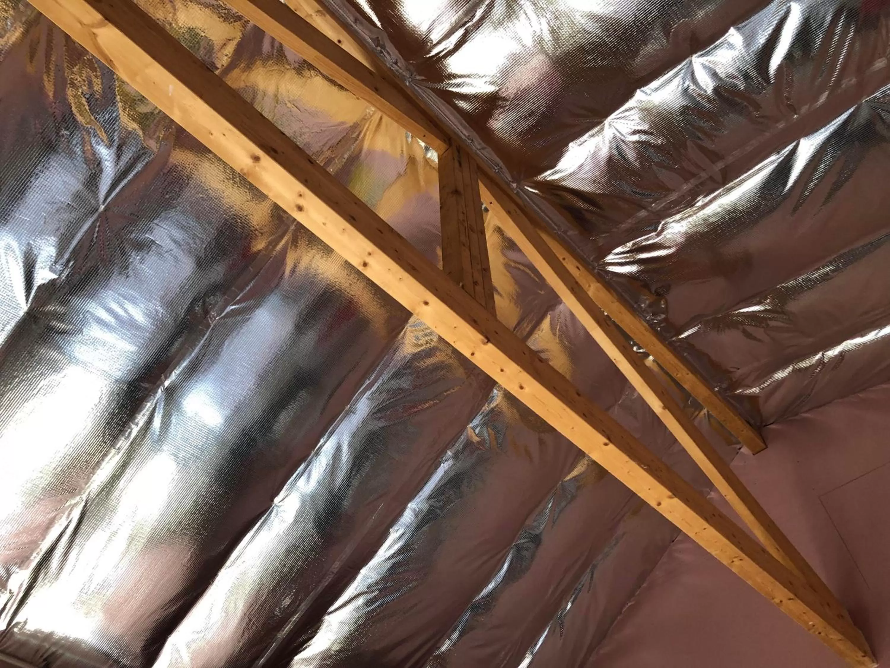 Property building in Hotel 49