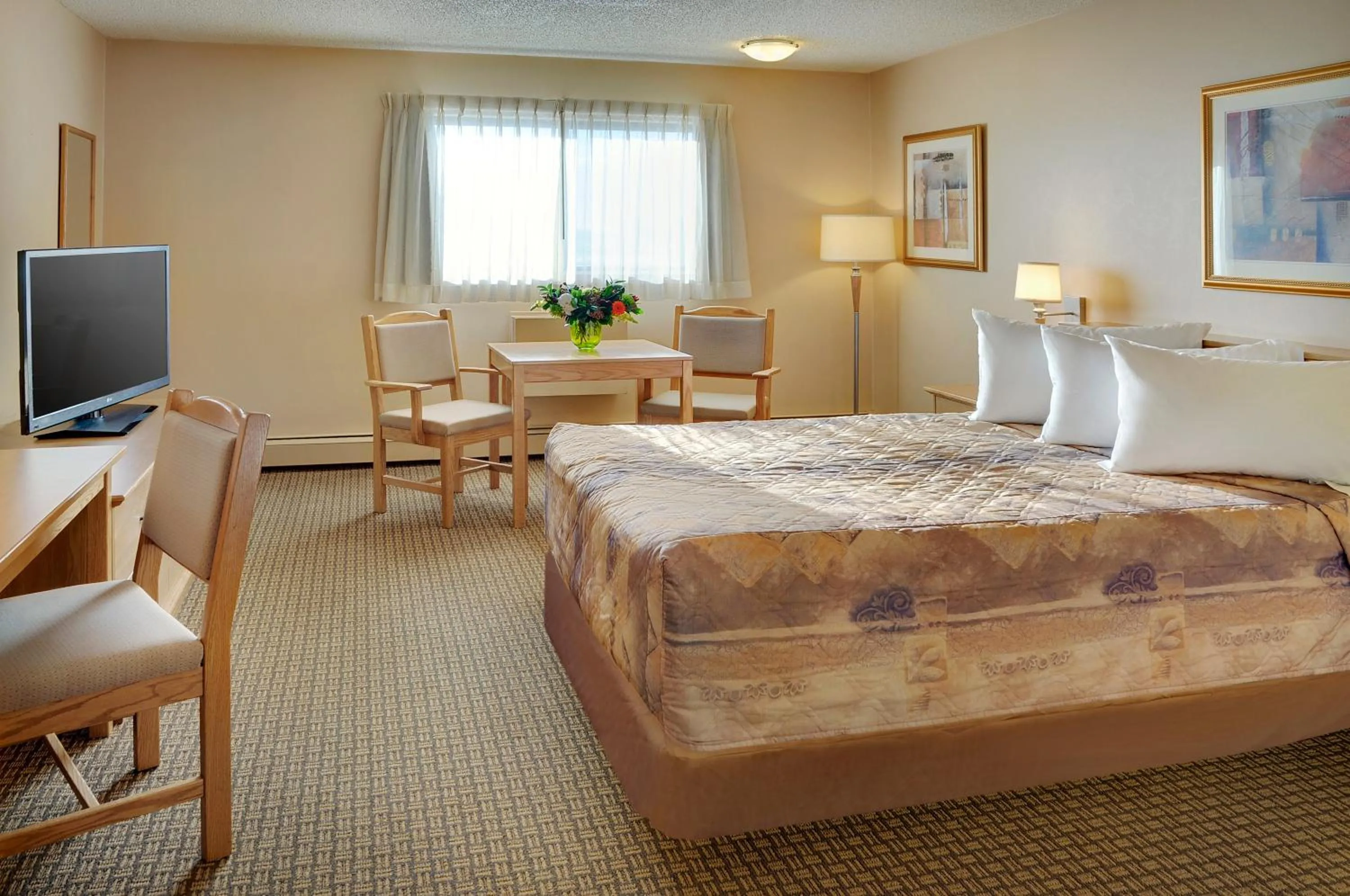 Other, Bed in Nova Inn Kindersley