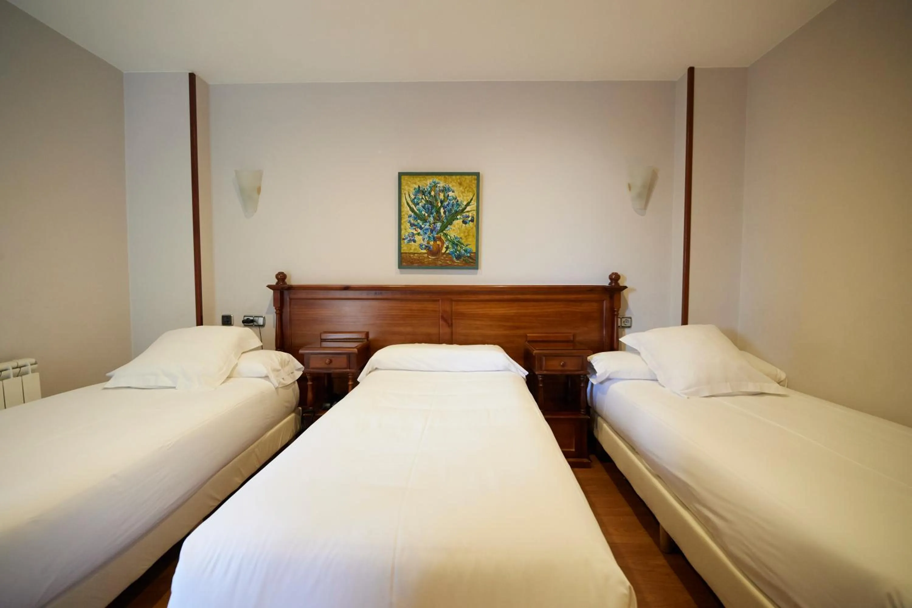 Bed in Hotel Villalegre