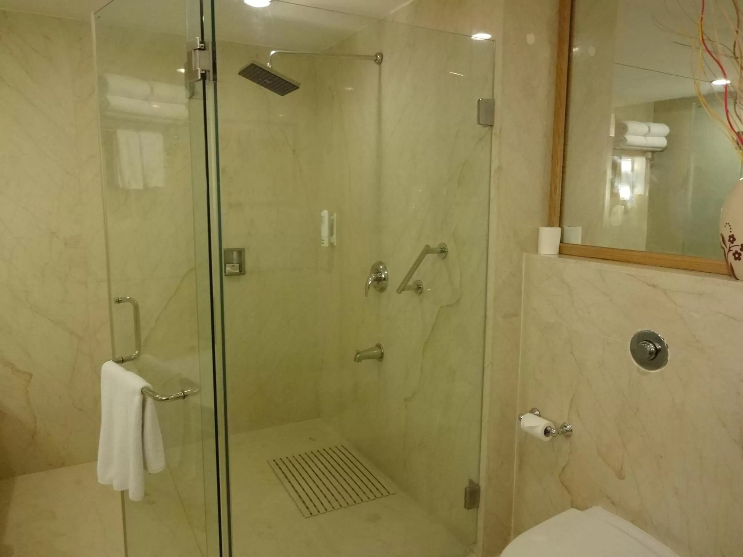 Shower in Park Plaza Chennai OMR