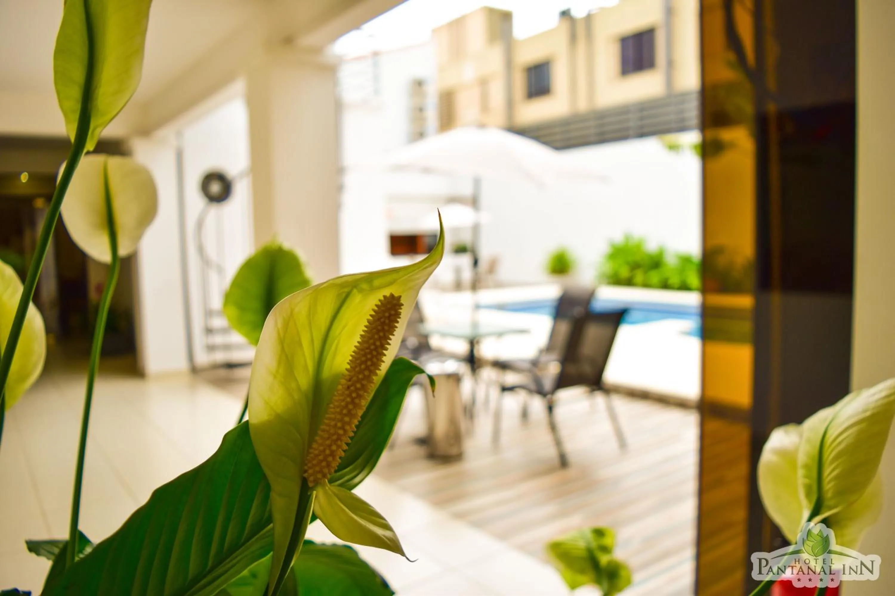 Patio in Hotel Pantanal Inn