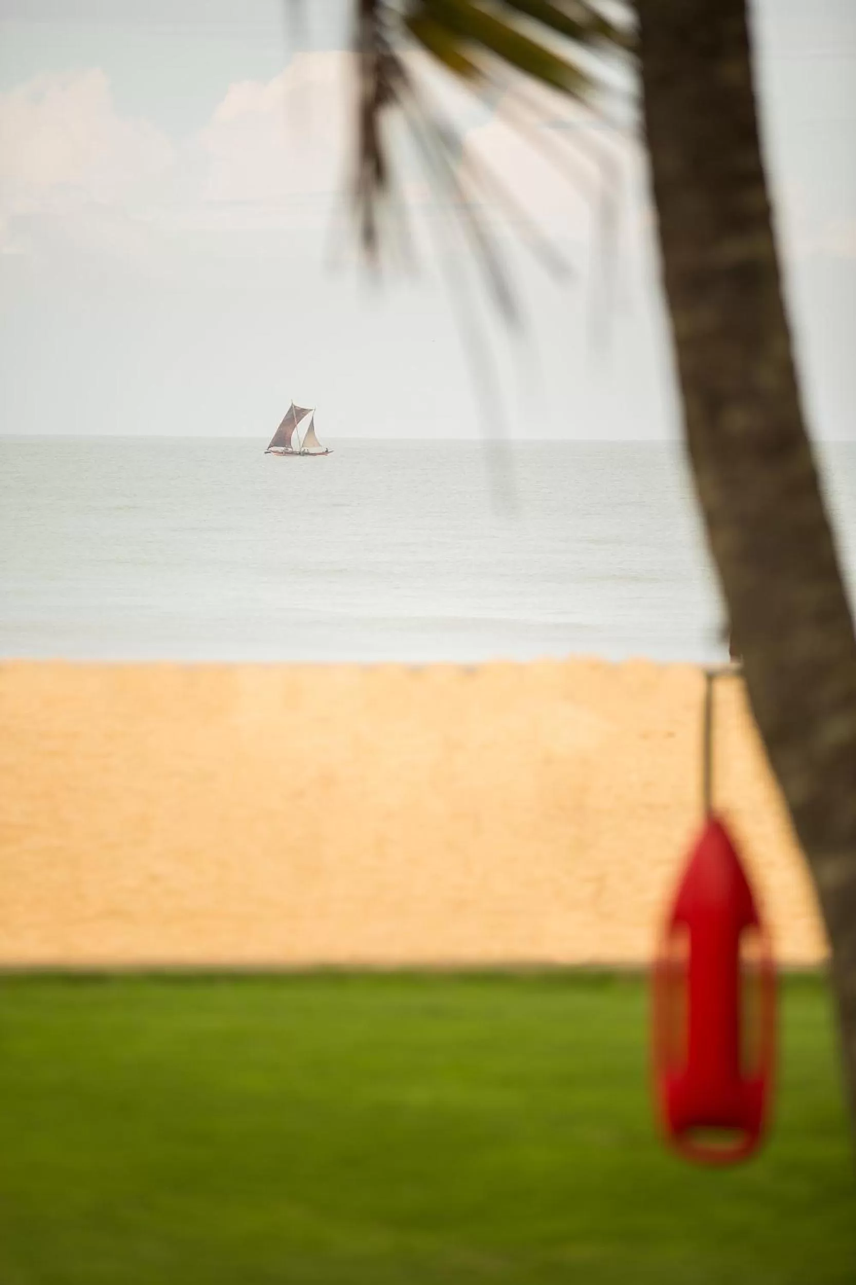 Property building in Camelot Beach Hotel