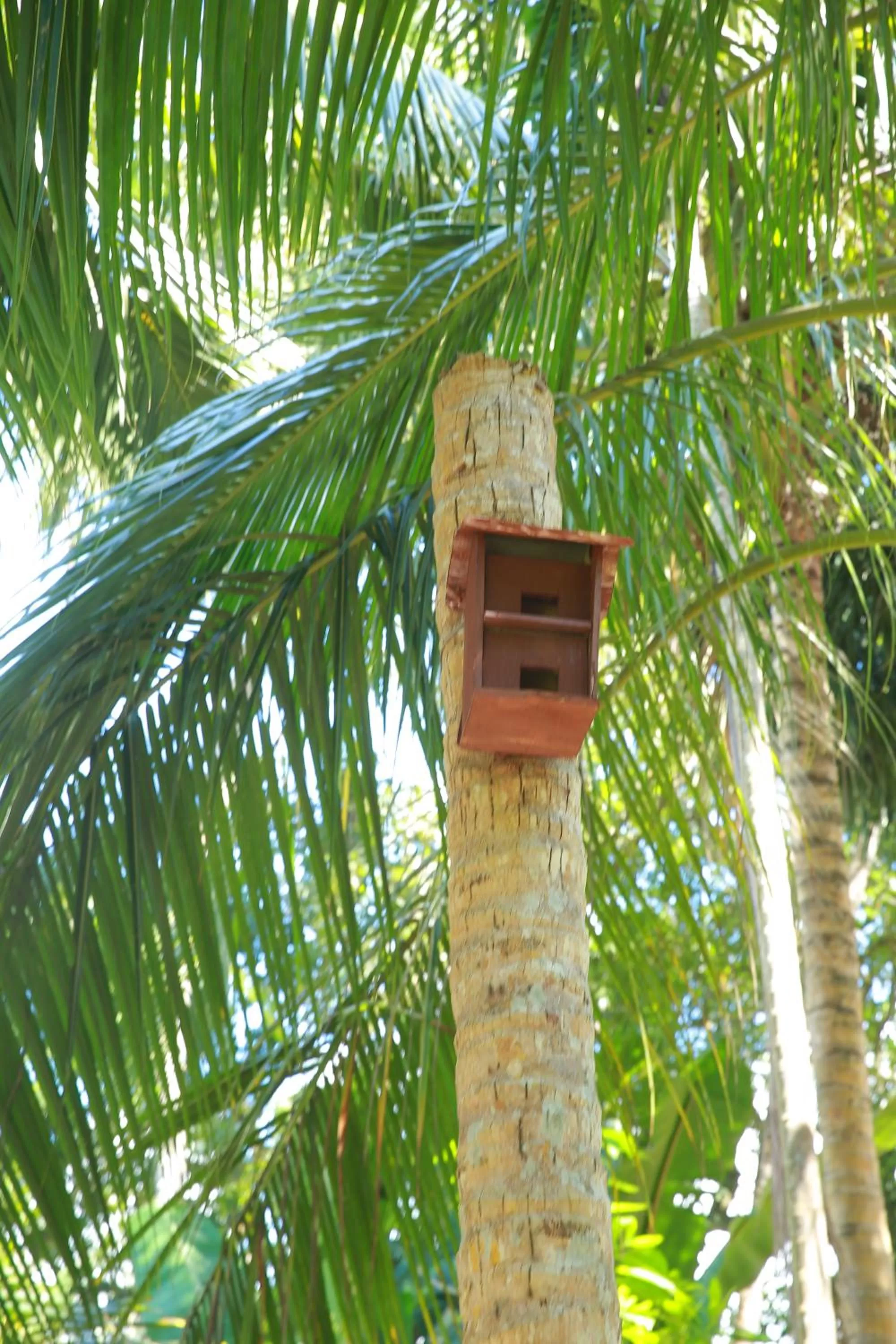 Property building in Limecabanas-srilanka