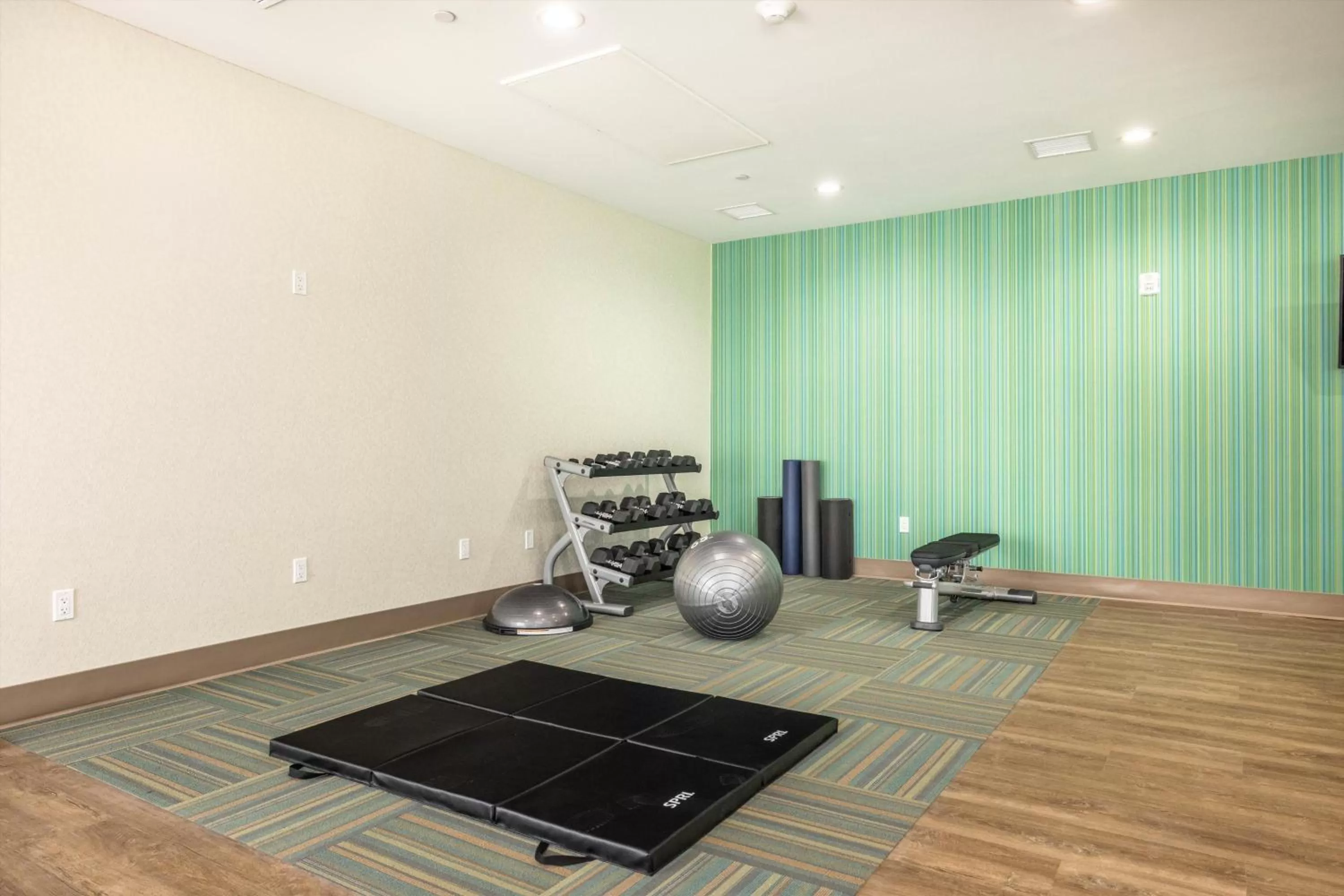 Fitness centre/facilities in Holiday Inn Express & Suites - San Jose Silicon Valley by IHG
