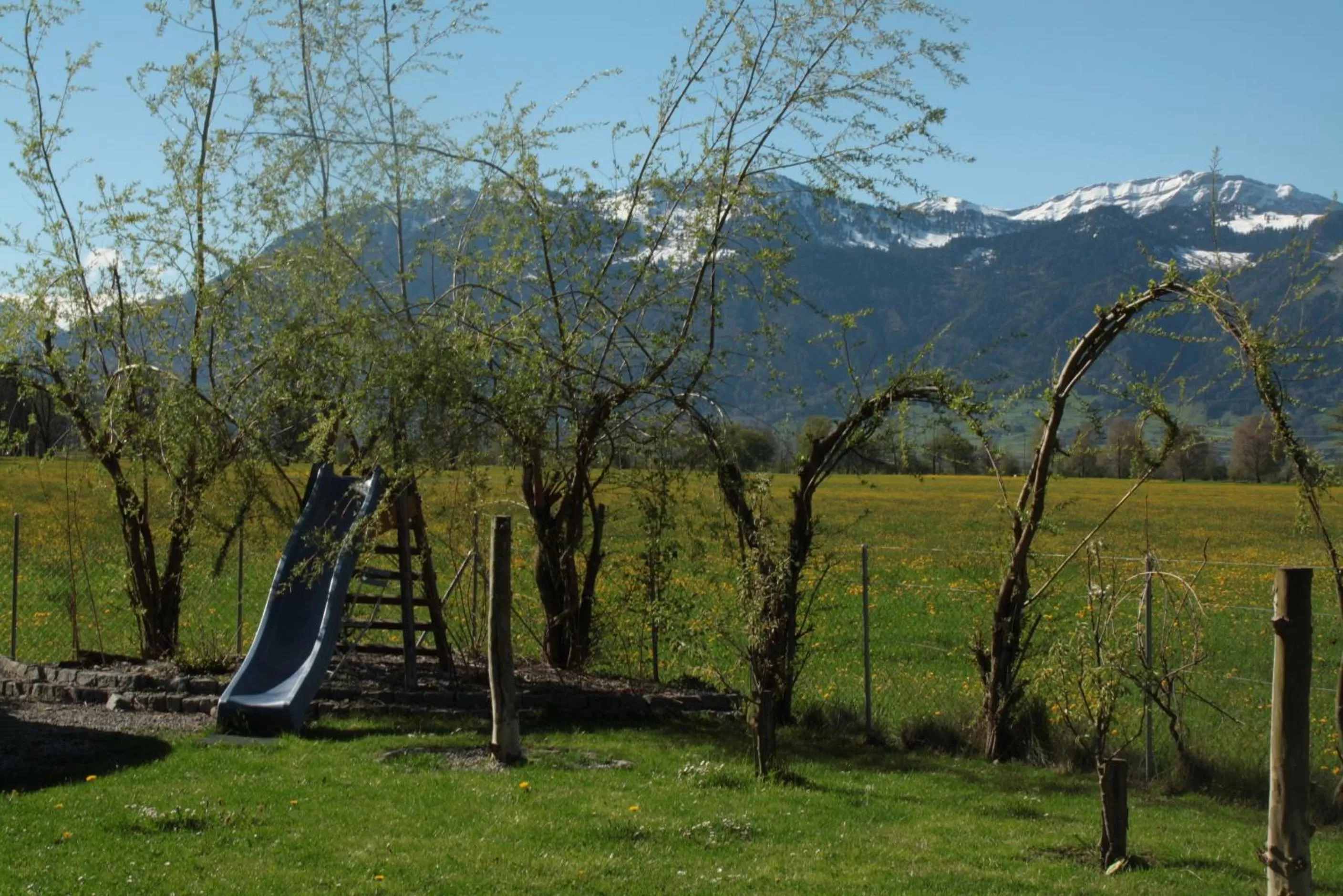 Garden in BnB Entensee