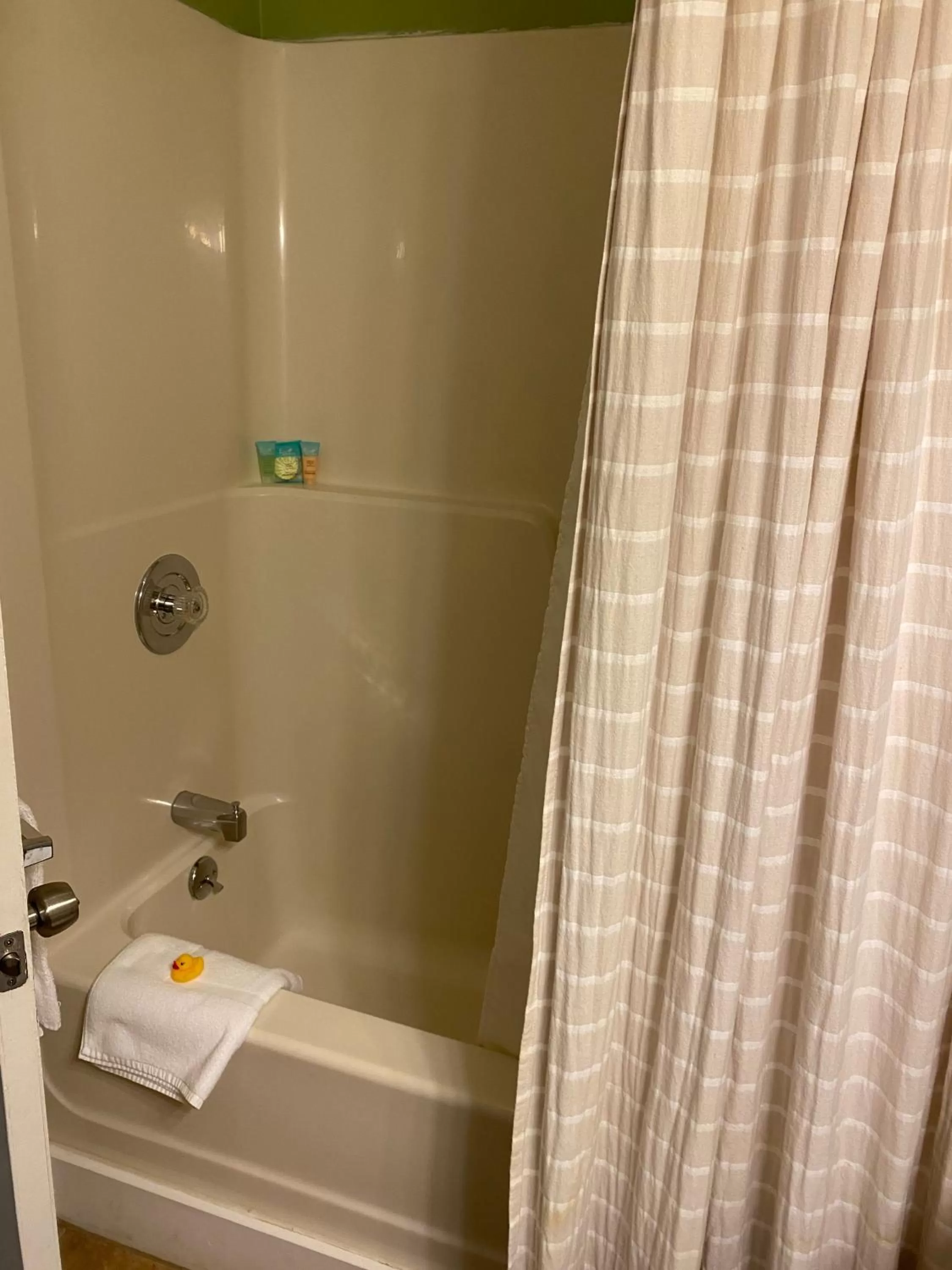 Shower, Bathroom in Bristol Suites