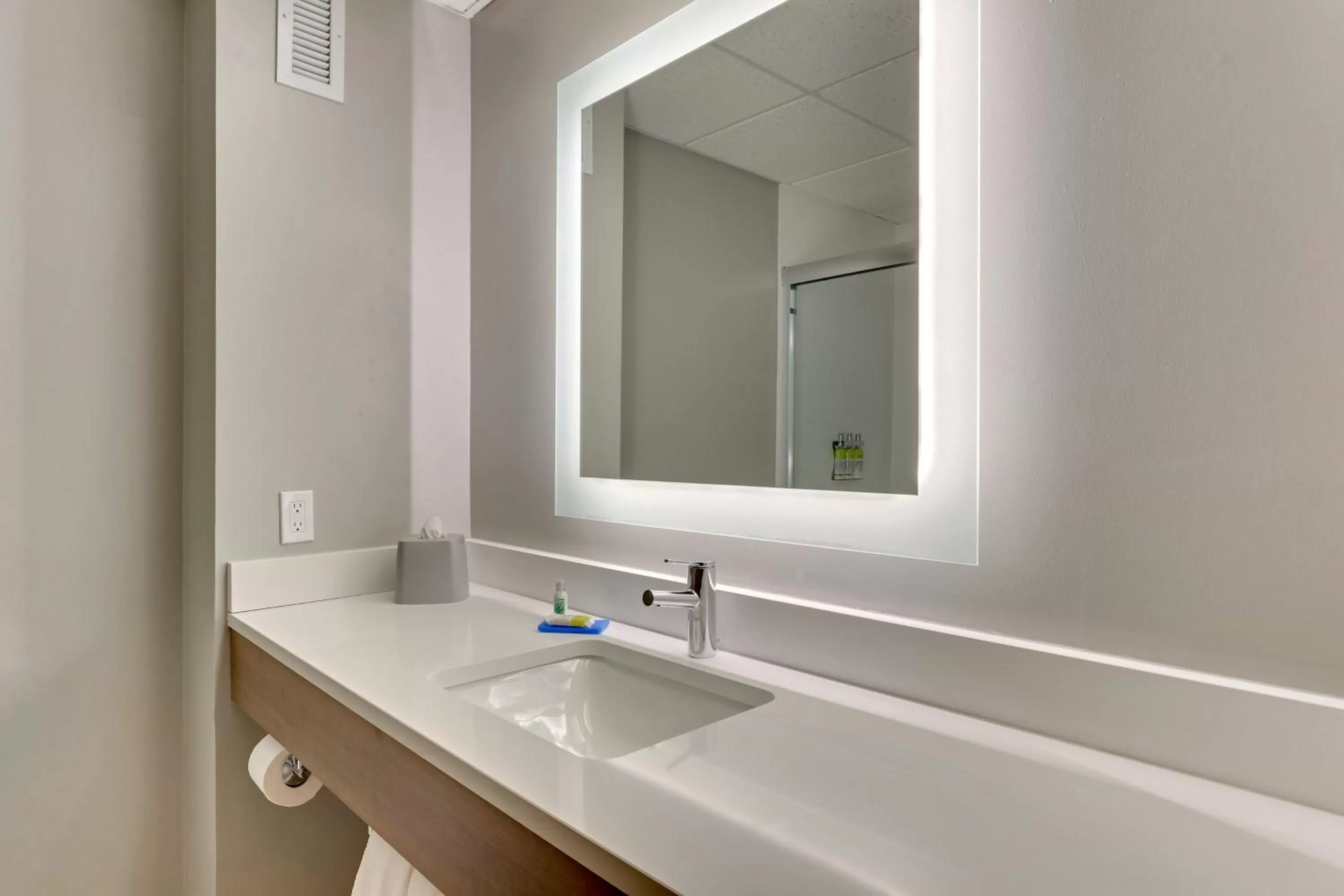 Bathroom in Holiday Inn Express & Suites Bad Axe by IHG